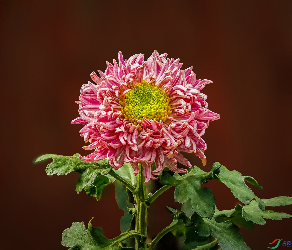 00000583A0176 �ۻ��й�1200.jpg