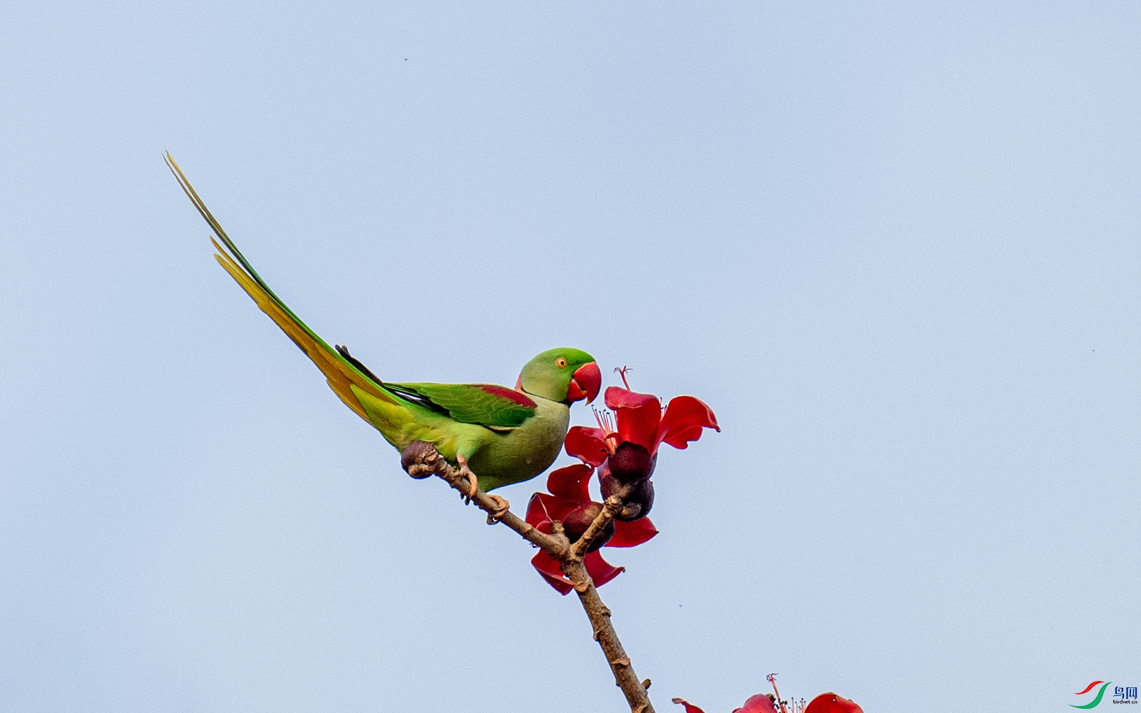 DSC_9575.jpg