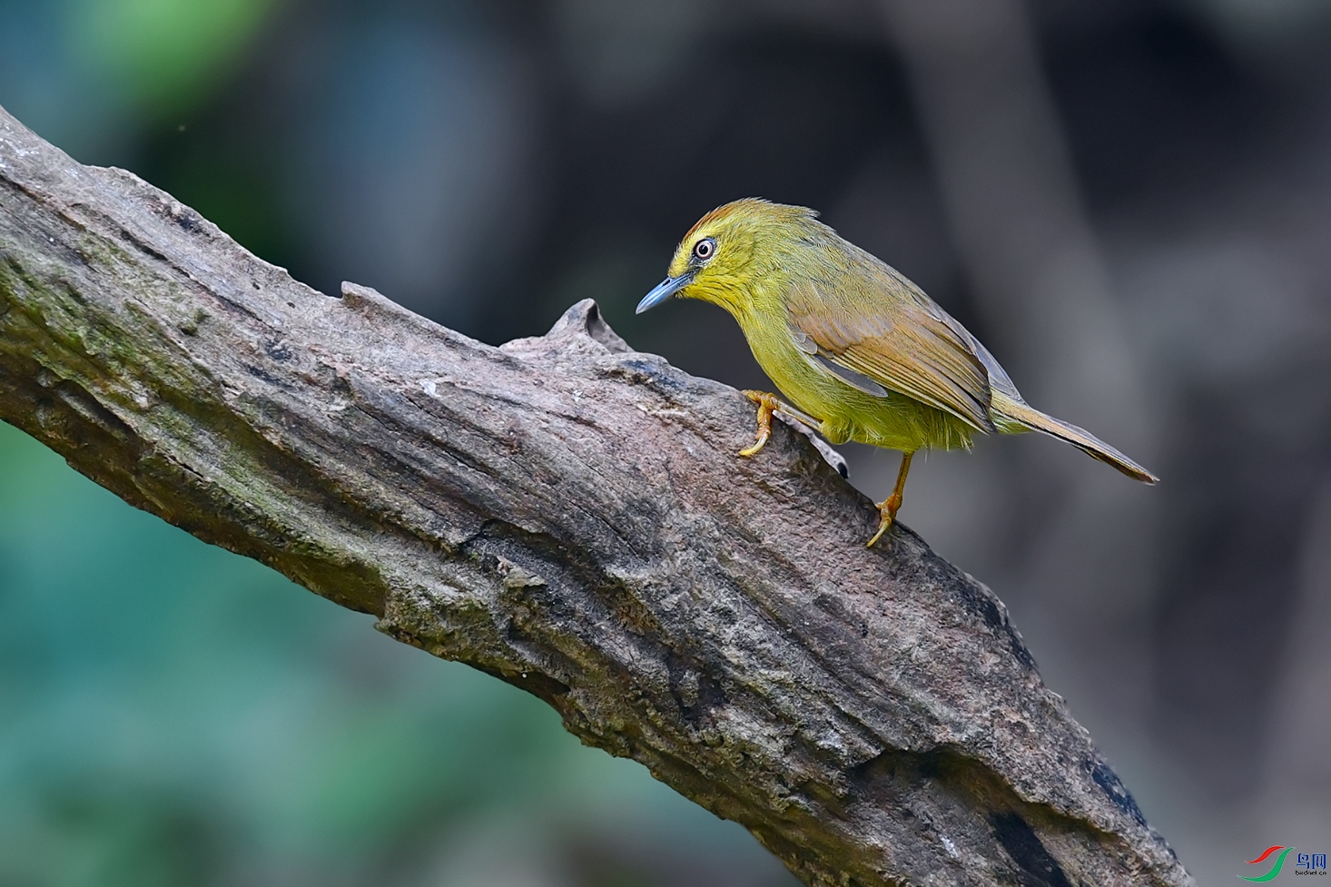DSC_5757_DxOa.jpg