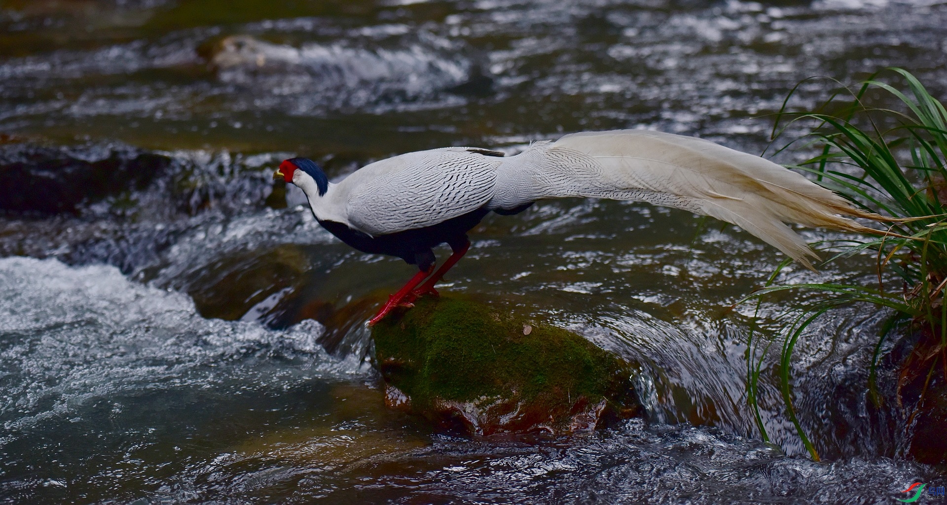 D8I_2245.jpg