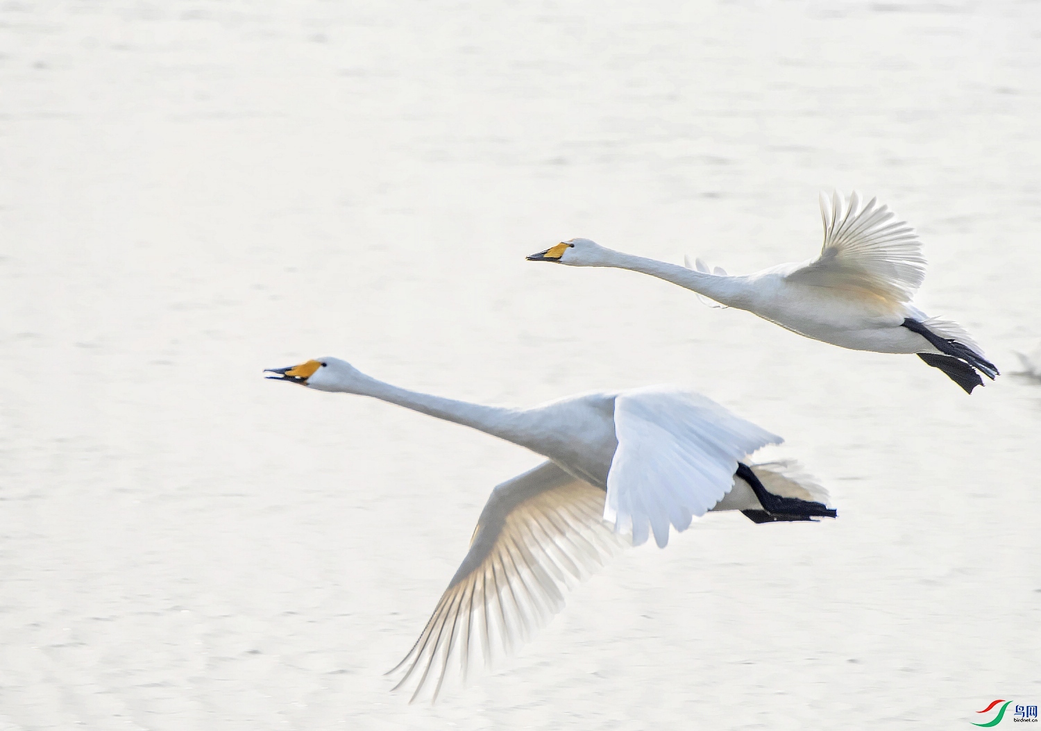 _DSC0065---_conew1.jpg