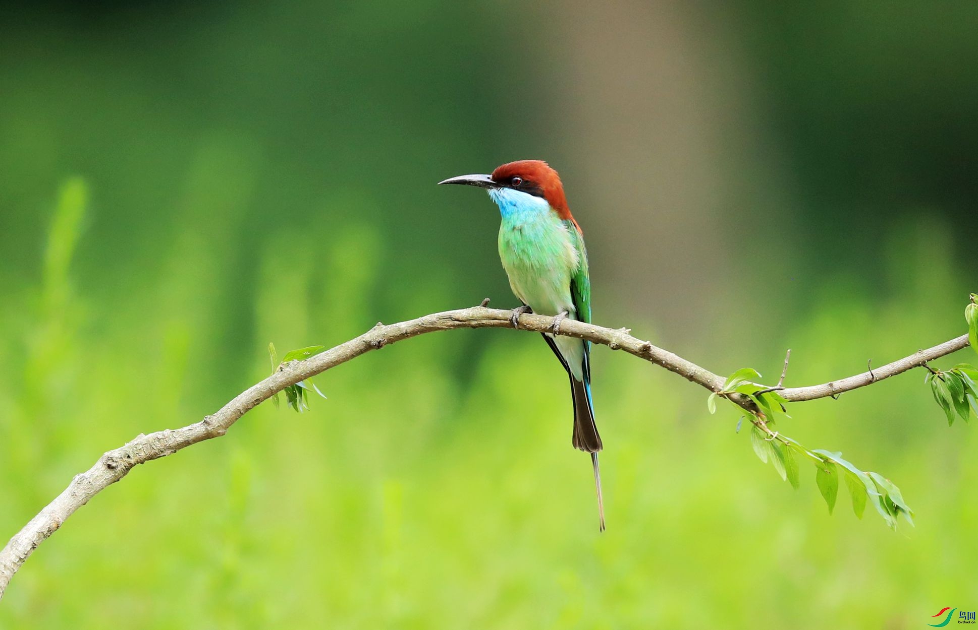 402.jpg
