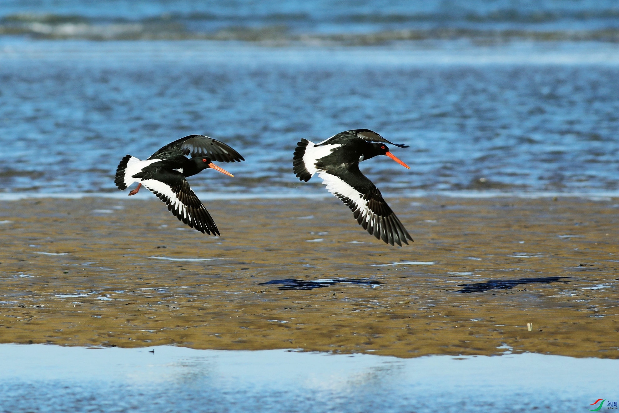 ���б���