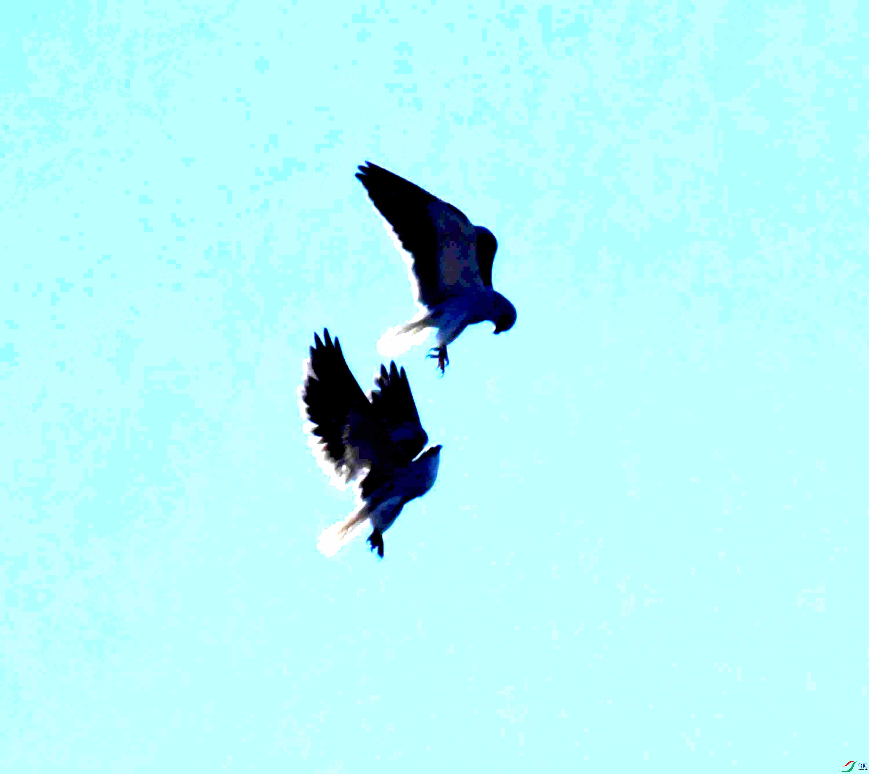 DSC_7211.JPG