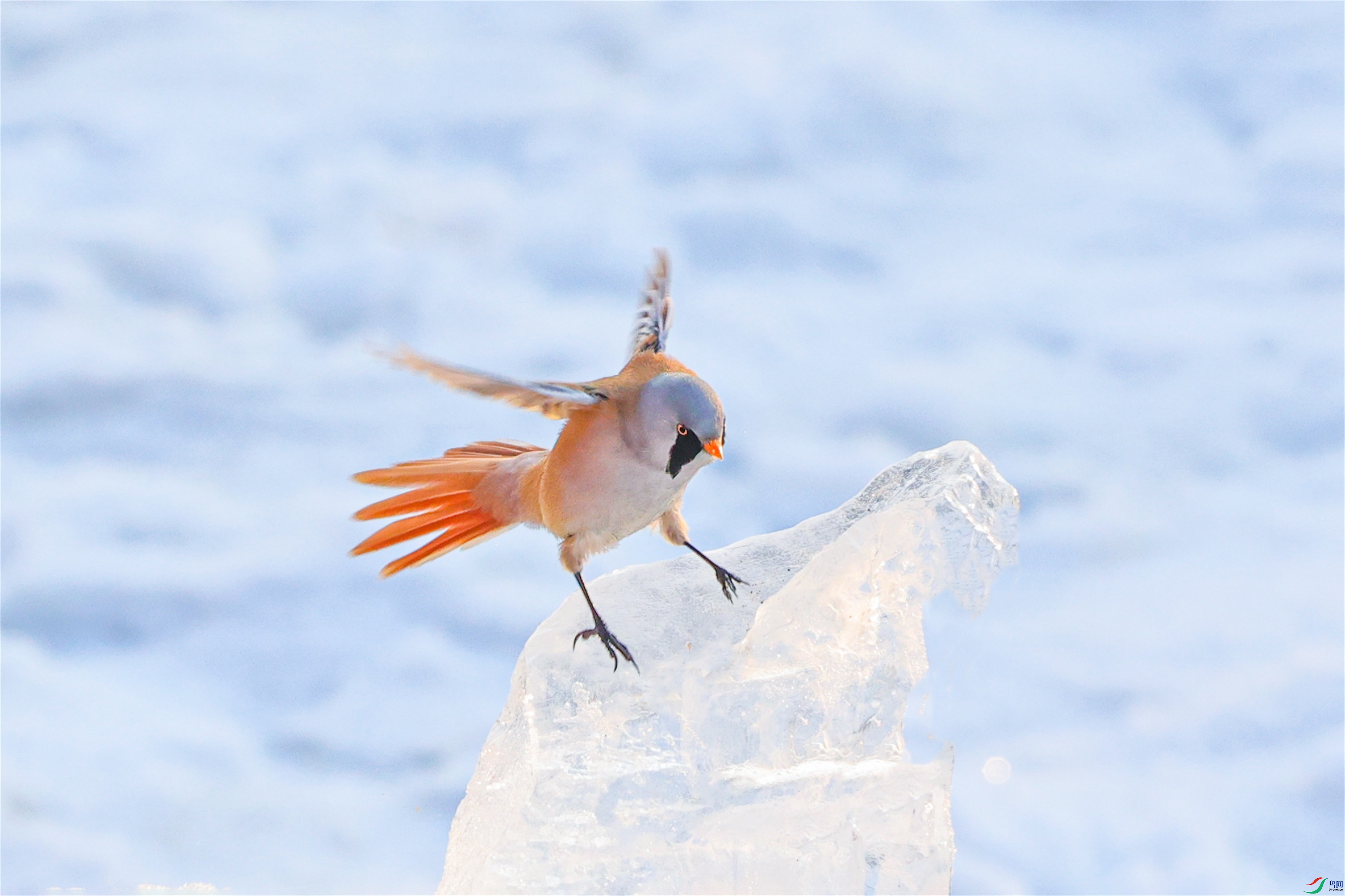 1K3A5497 ����1.jpg