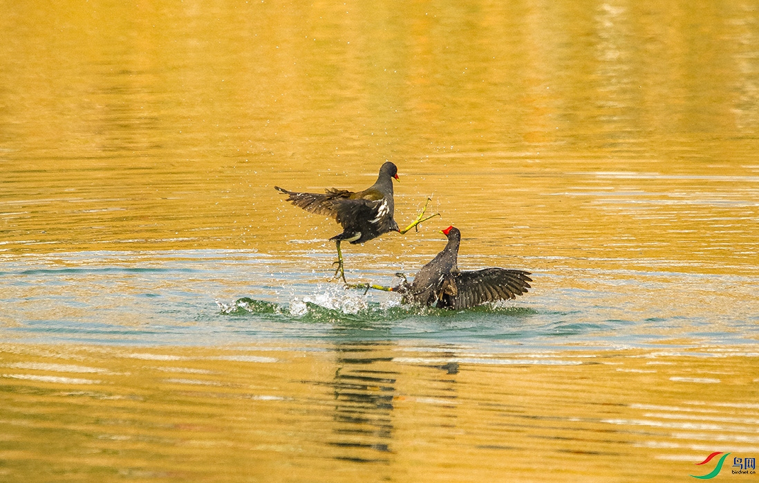 練� ����.jpg