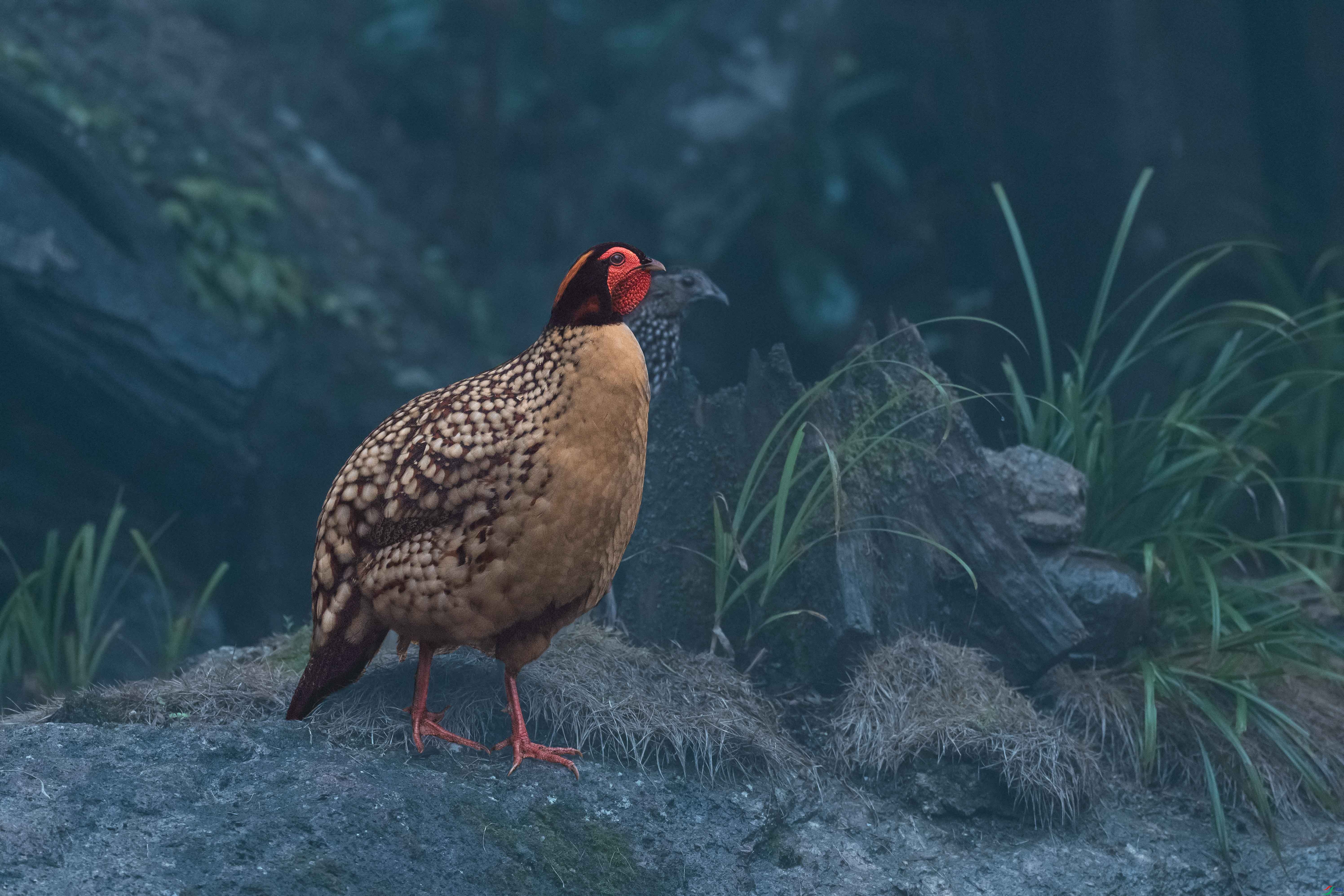 չ��δ��DSC03177 ����-1M.jpg