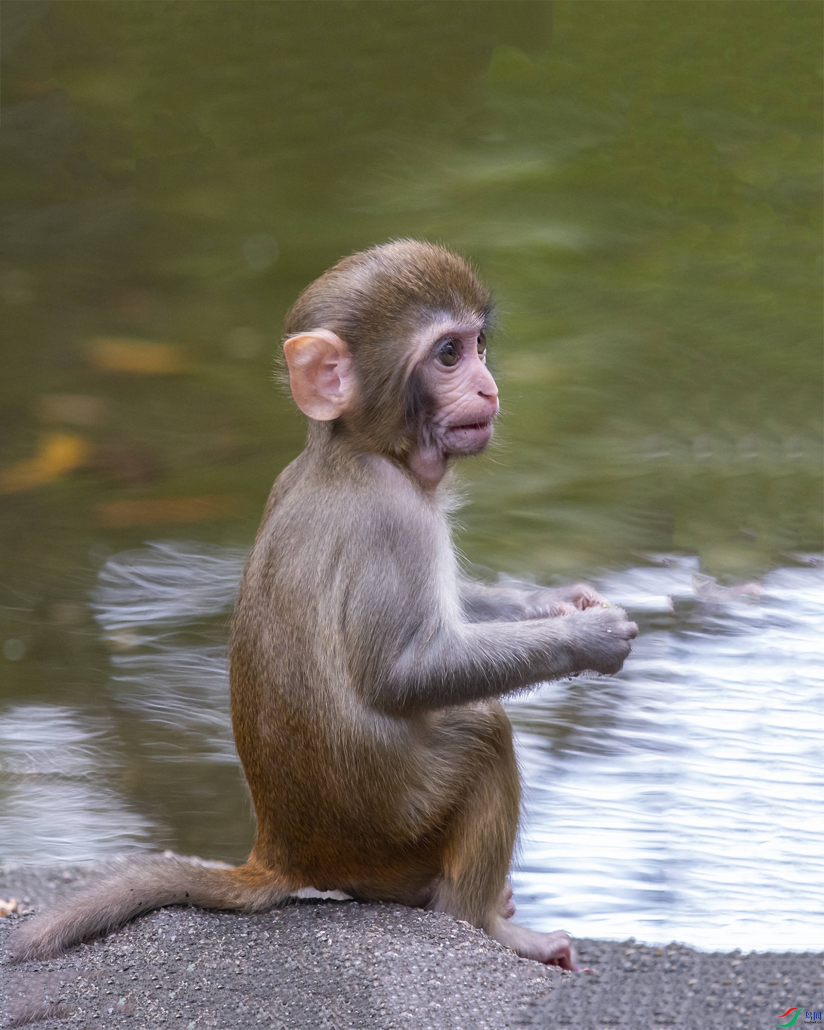 5776 ����.jpg