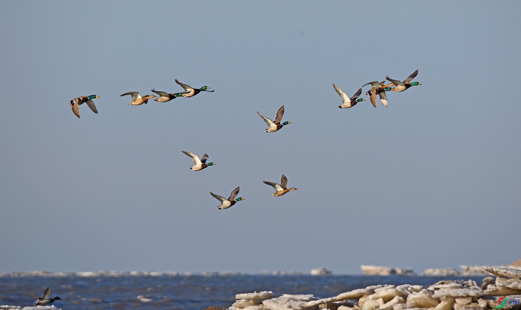 DSC_0348d_��ͼ��.jpg