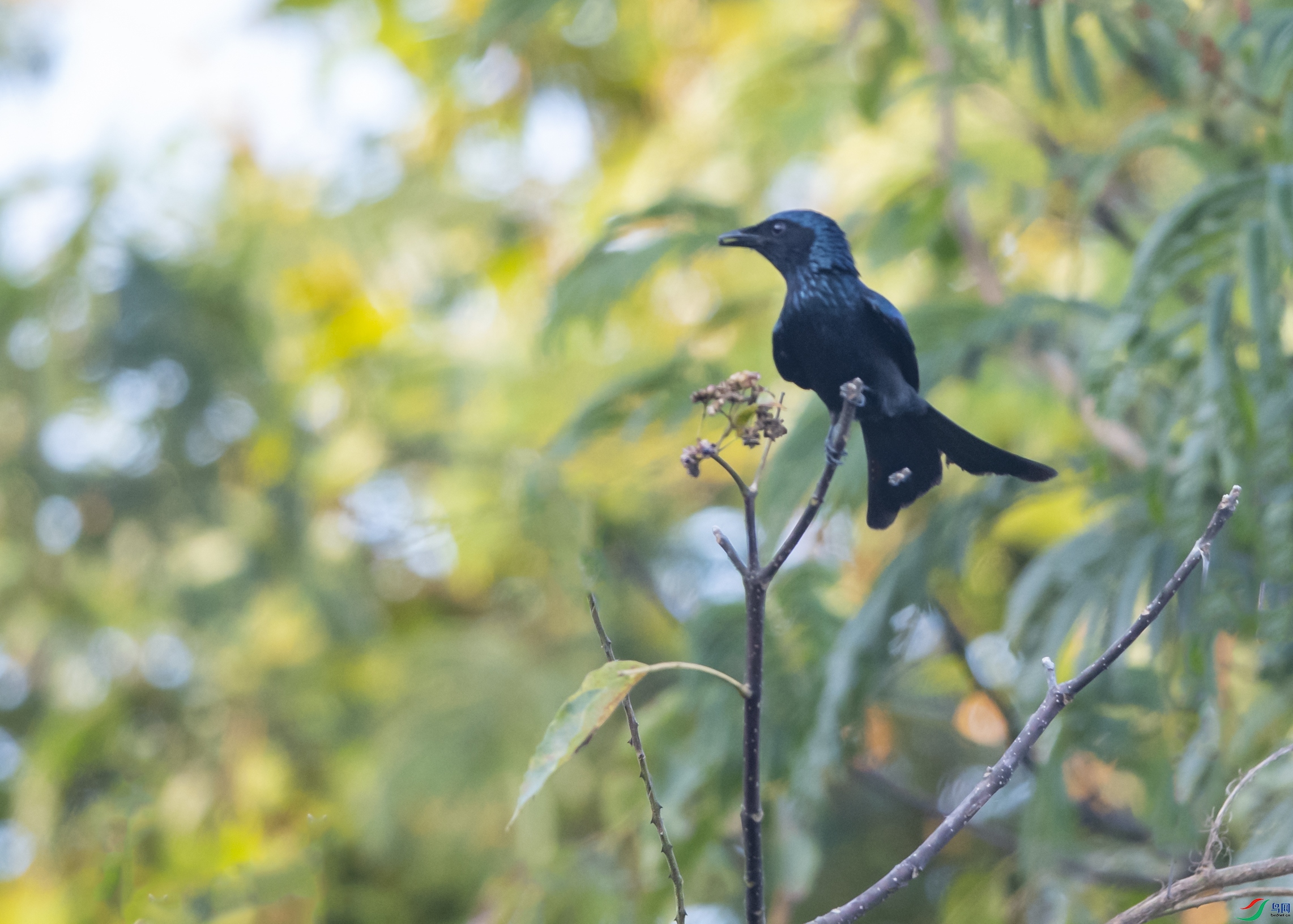 _DSC1212 ����.jpg