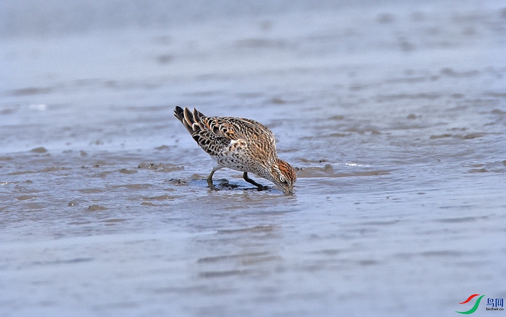 DSC_0966.jpg