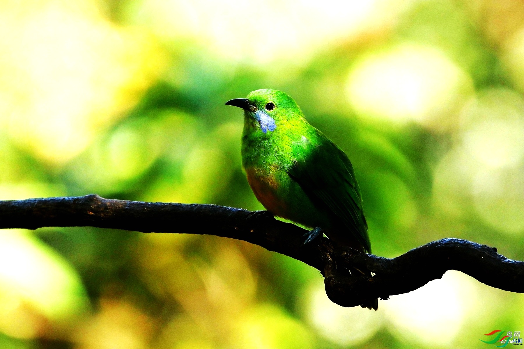 203 ����.jpg