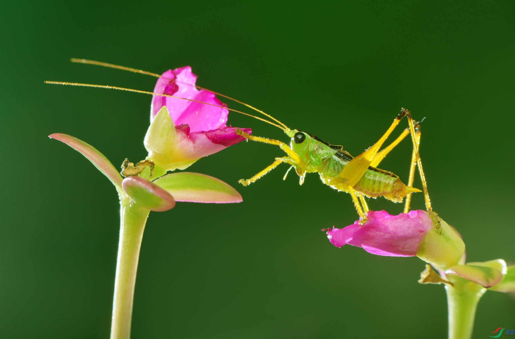 DSC_3647 ����.jpg