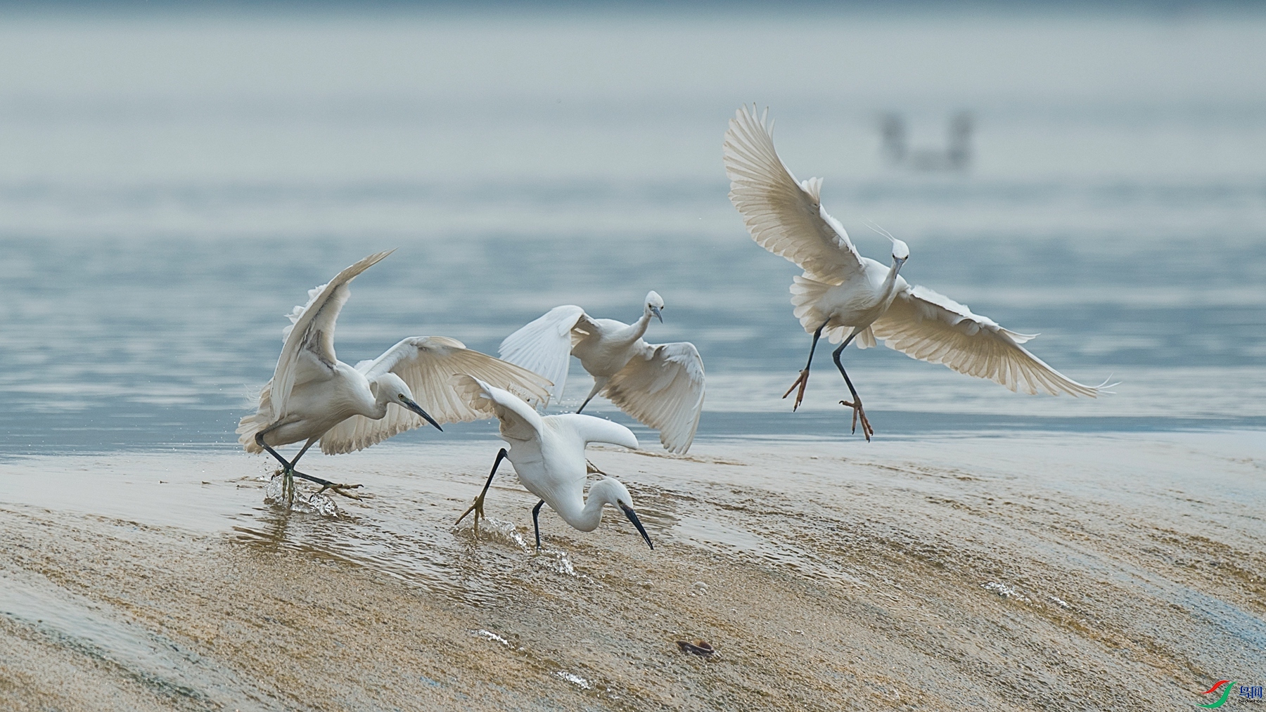 DSC1_3917 - ����.jpg