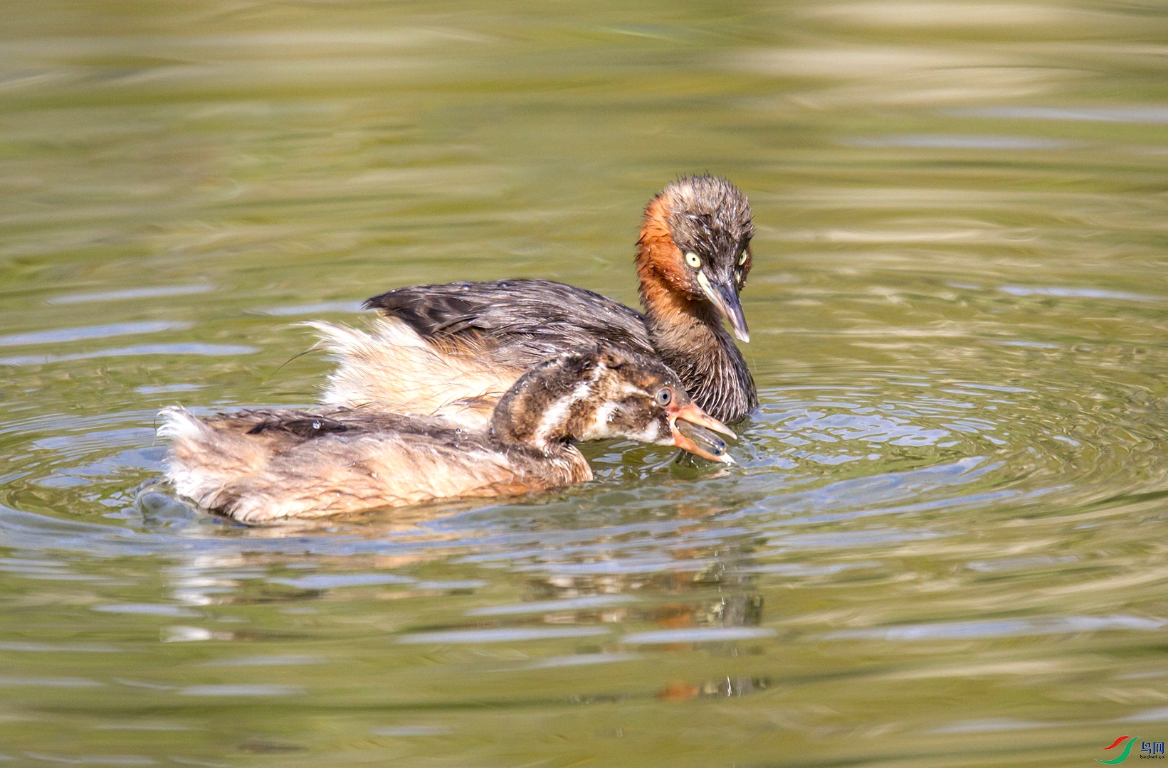 2-399.jpg