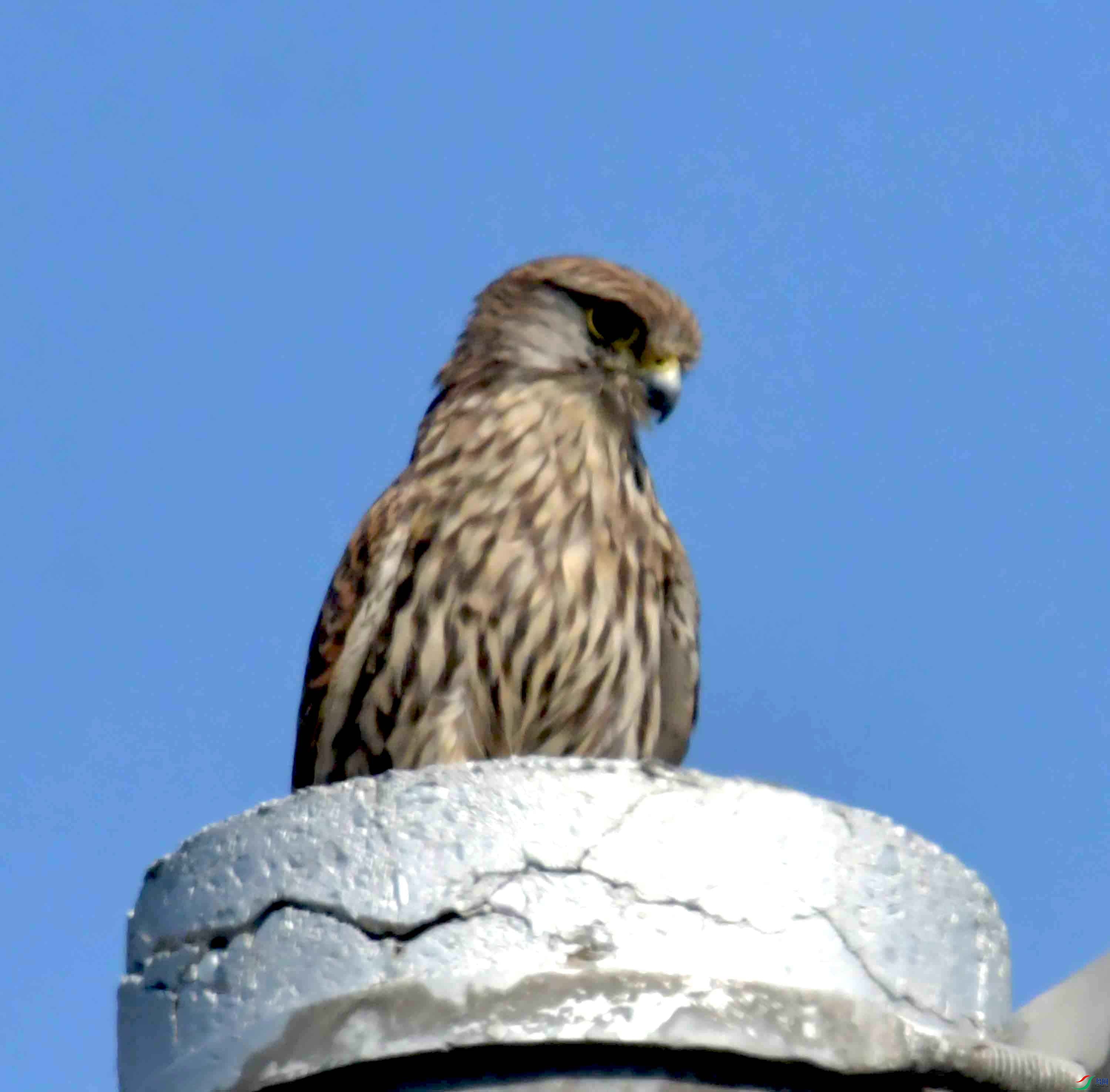 DSC_0957.JPG