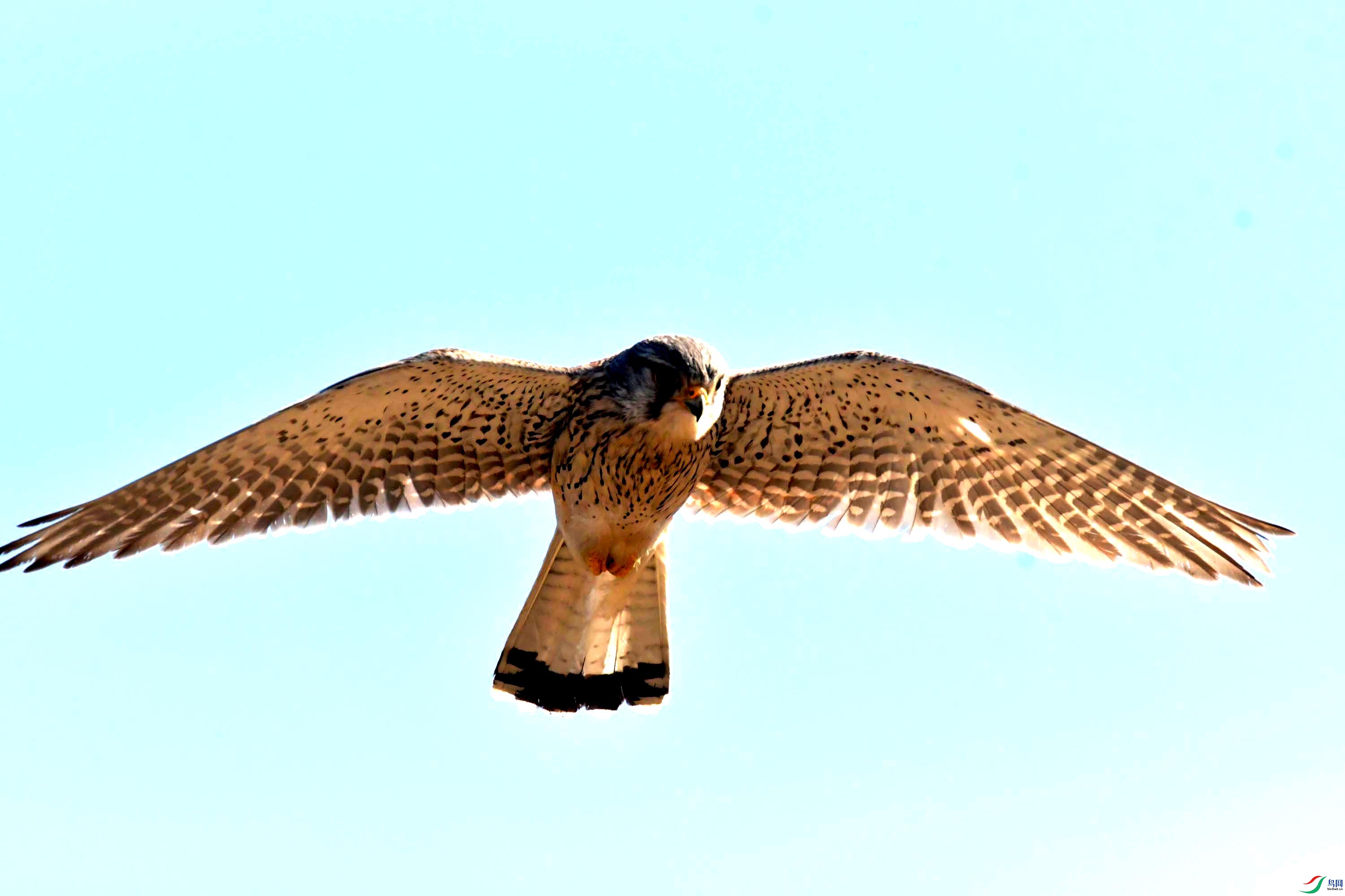 DSC_2777.JPG