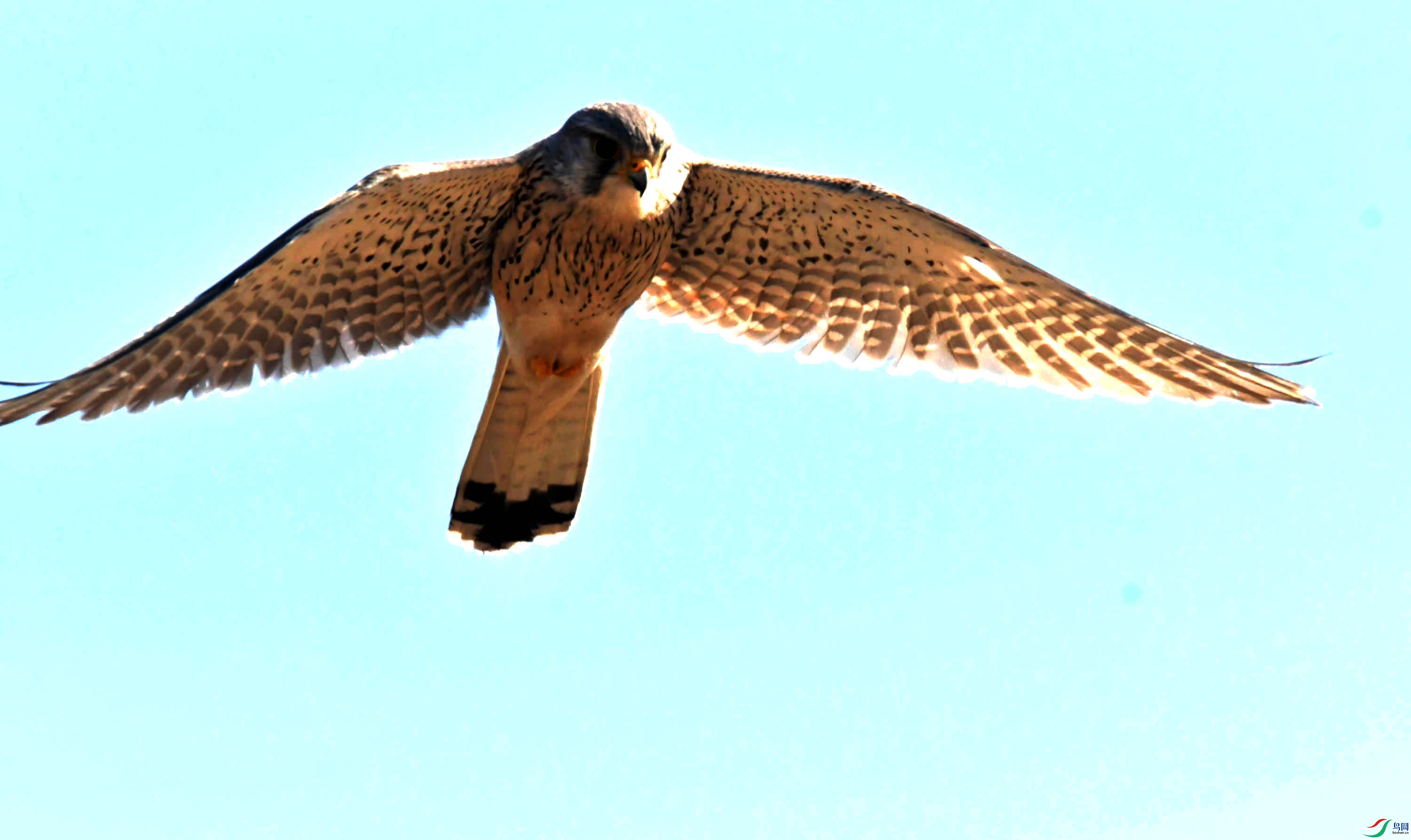 DSC_2784.JPG