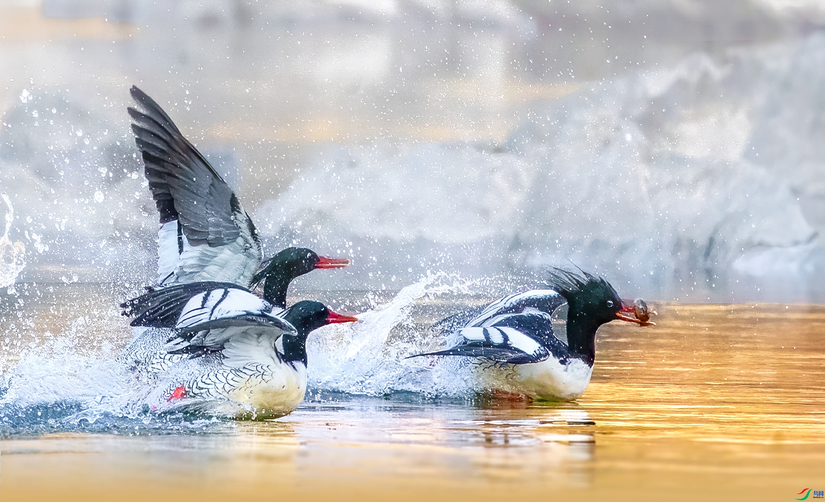 20230223 ����Ѽ׷�����ߡ�������.jpg