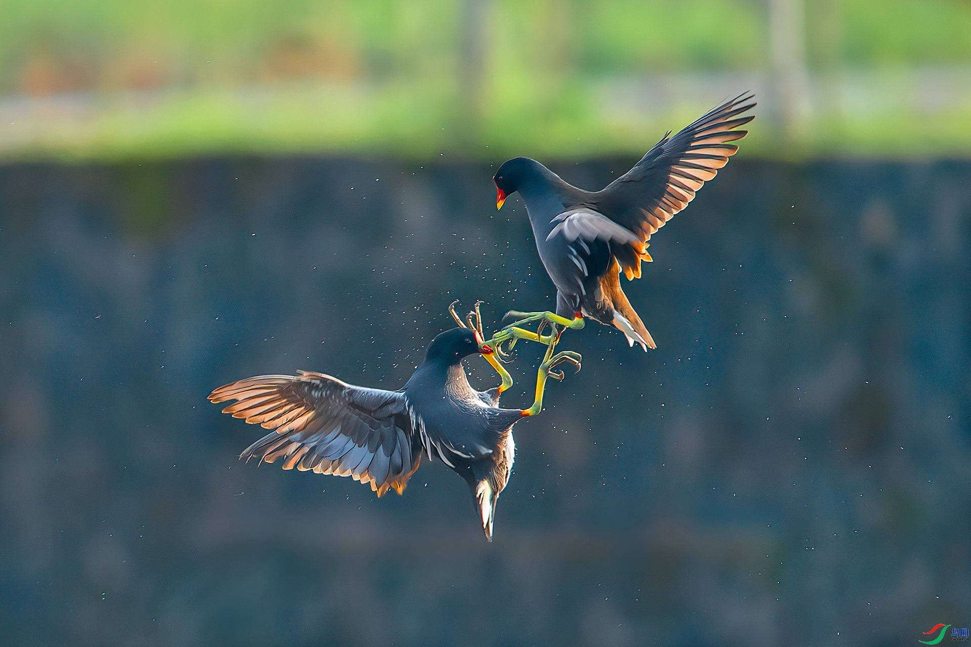 20230225ÿ�ռ��� ���ö���ˮ���� ���ߡ���Ļ������.jpg