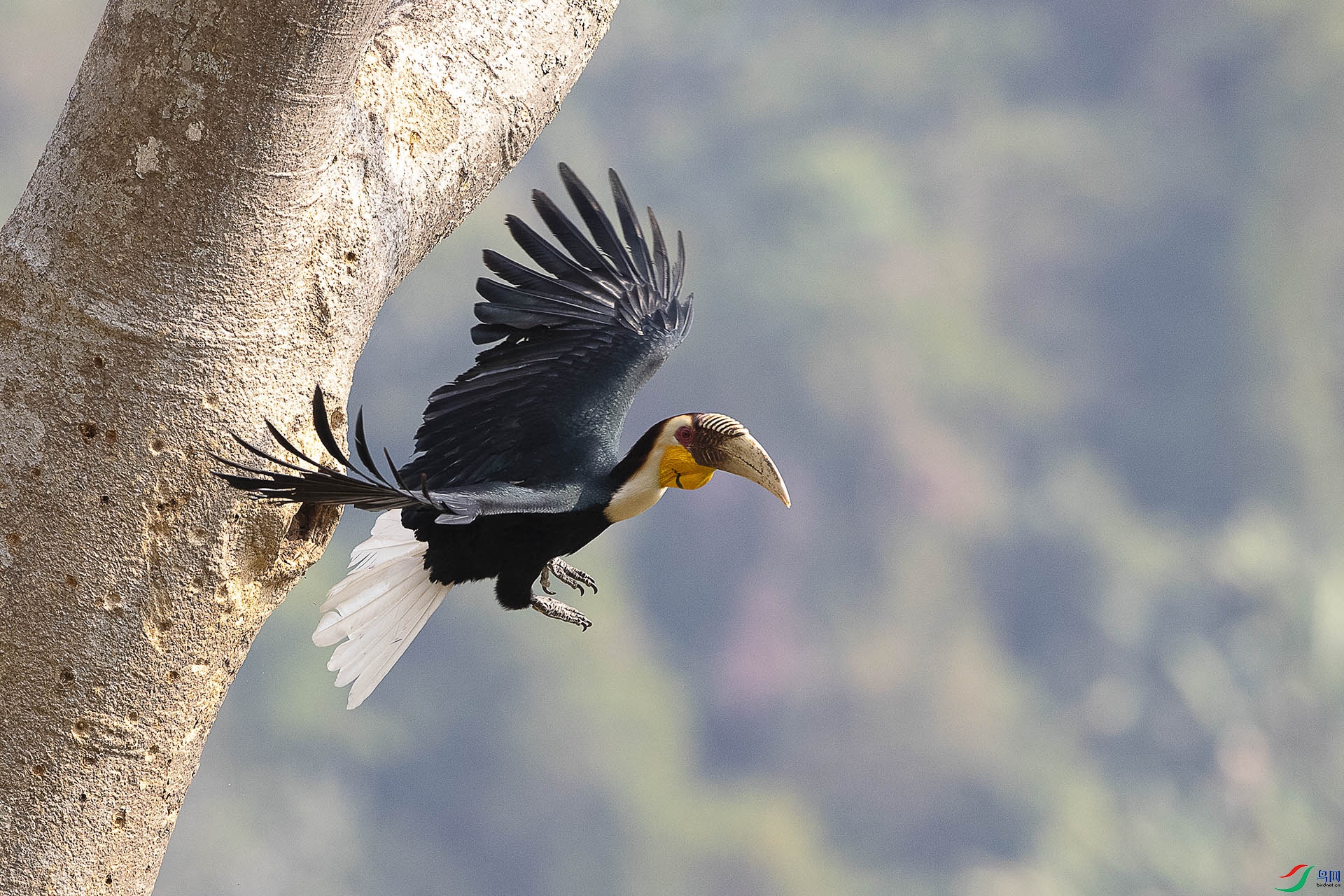 CD0I5008 ����.jpg