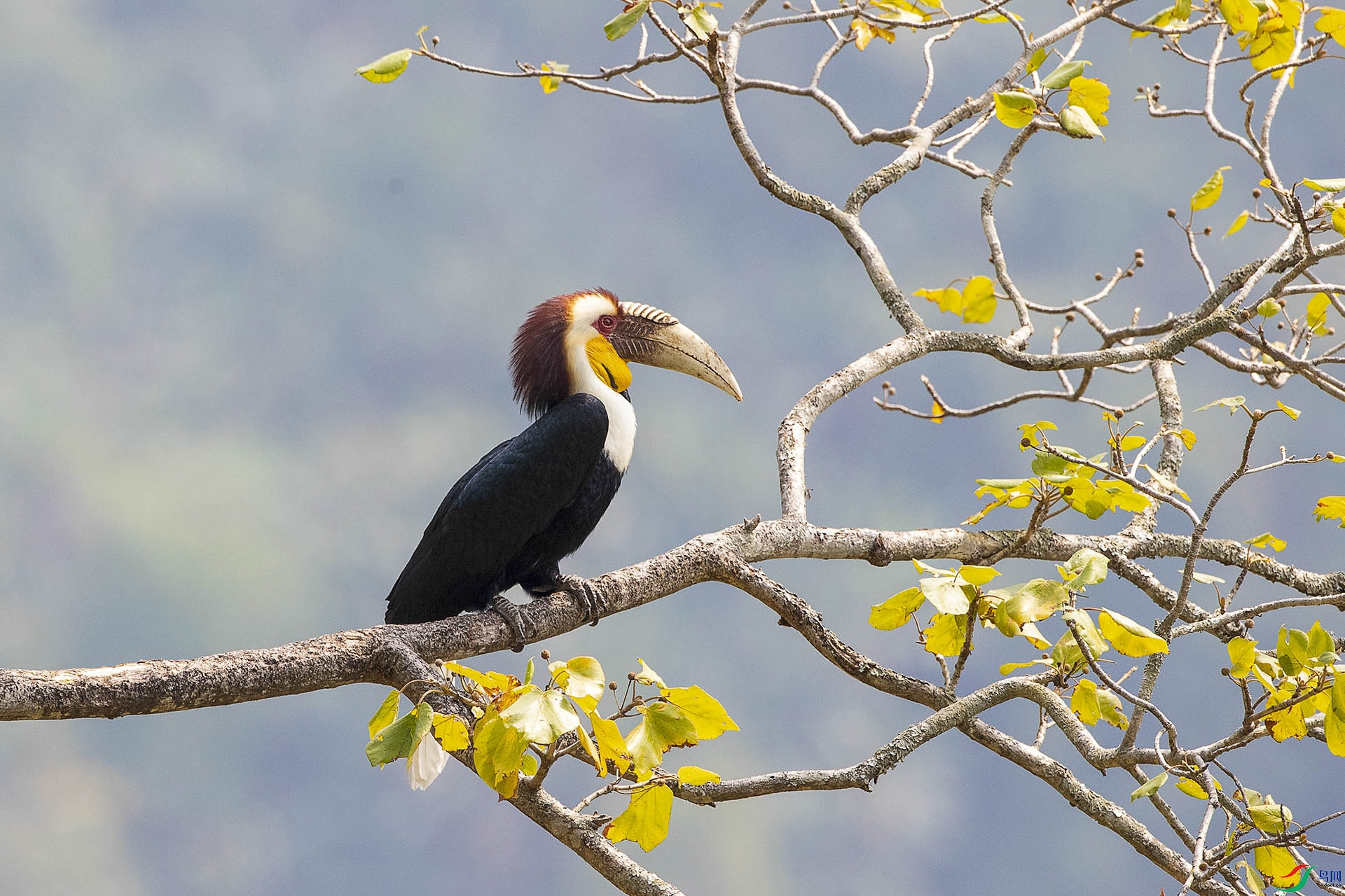 CD0I4379 ����.jpg