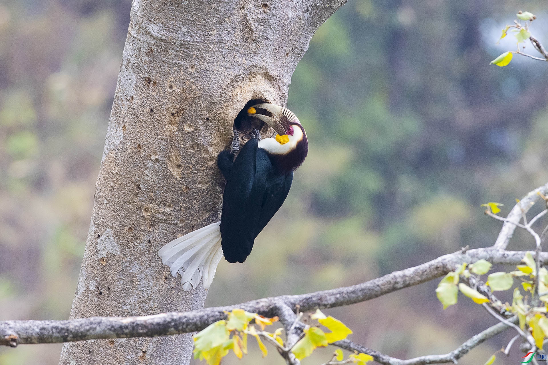 CD0I3786 ����.jpg