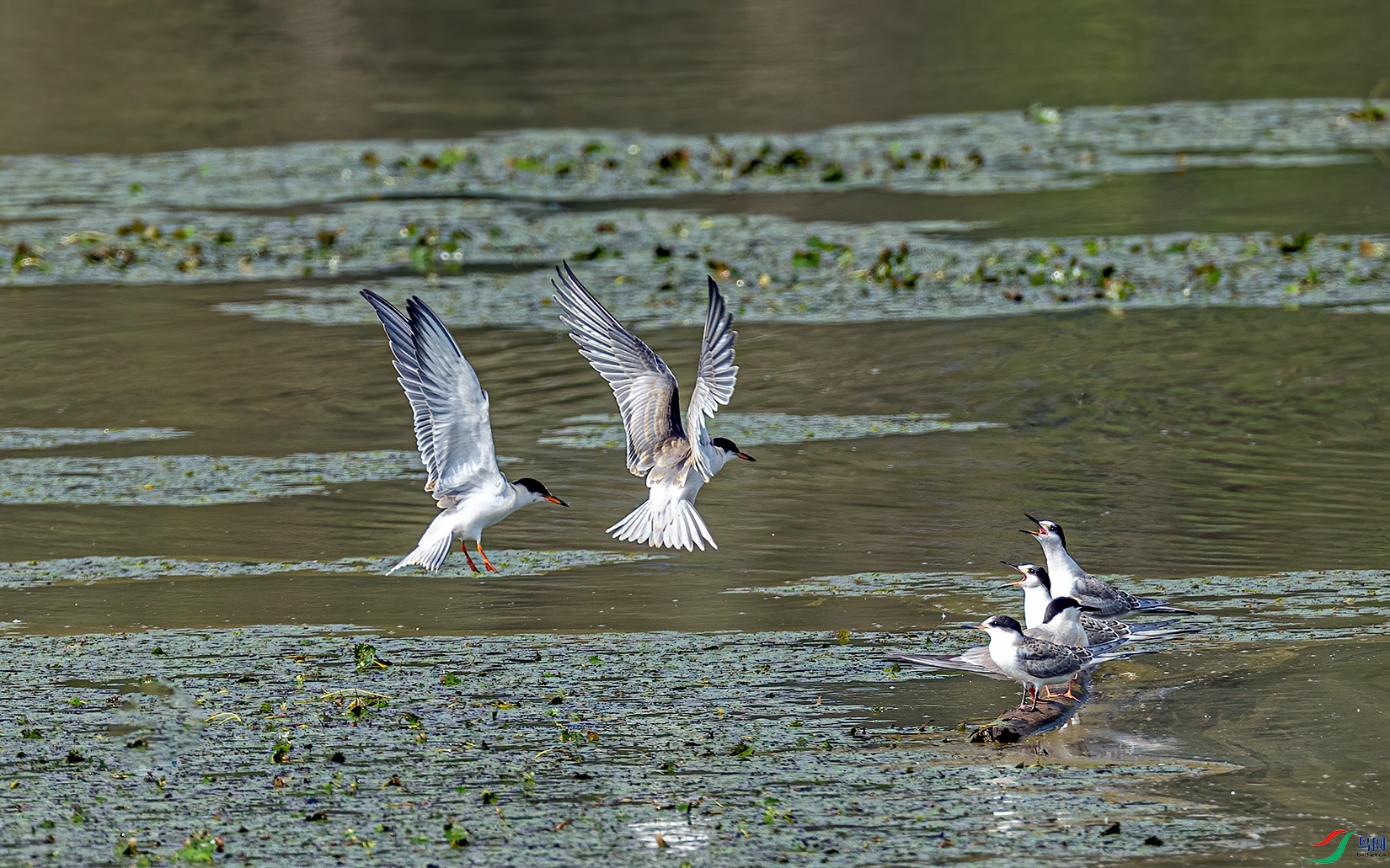 _32I0557 ����.jpg