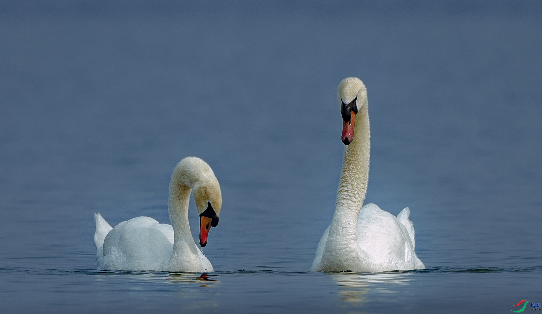 055A5989 ����.jpg