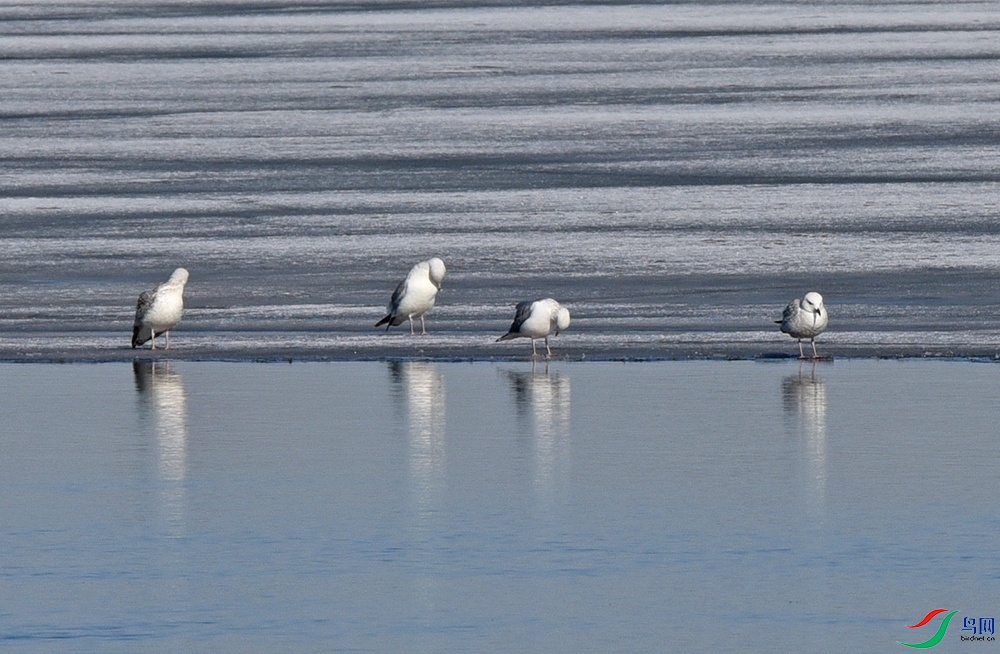 DSC_3097.jpg