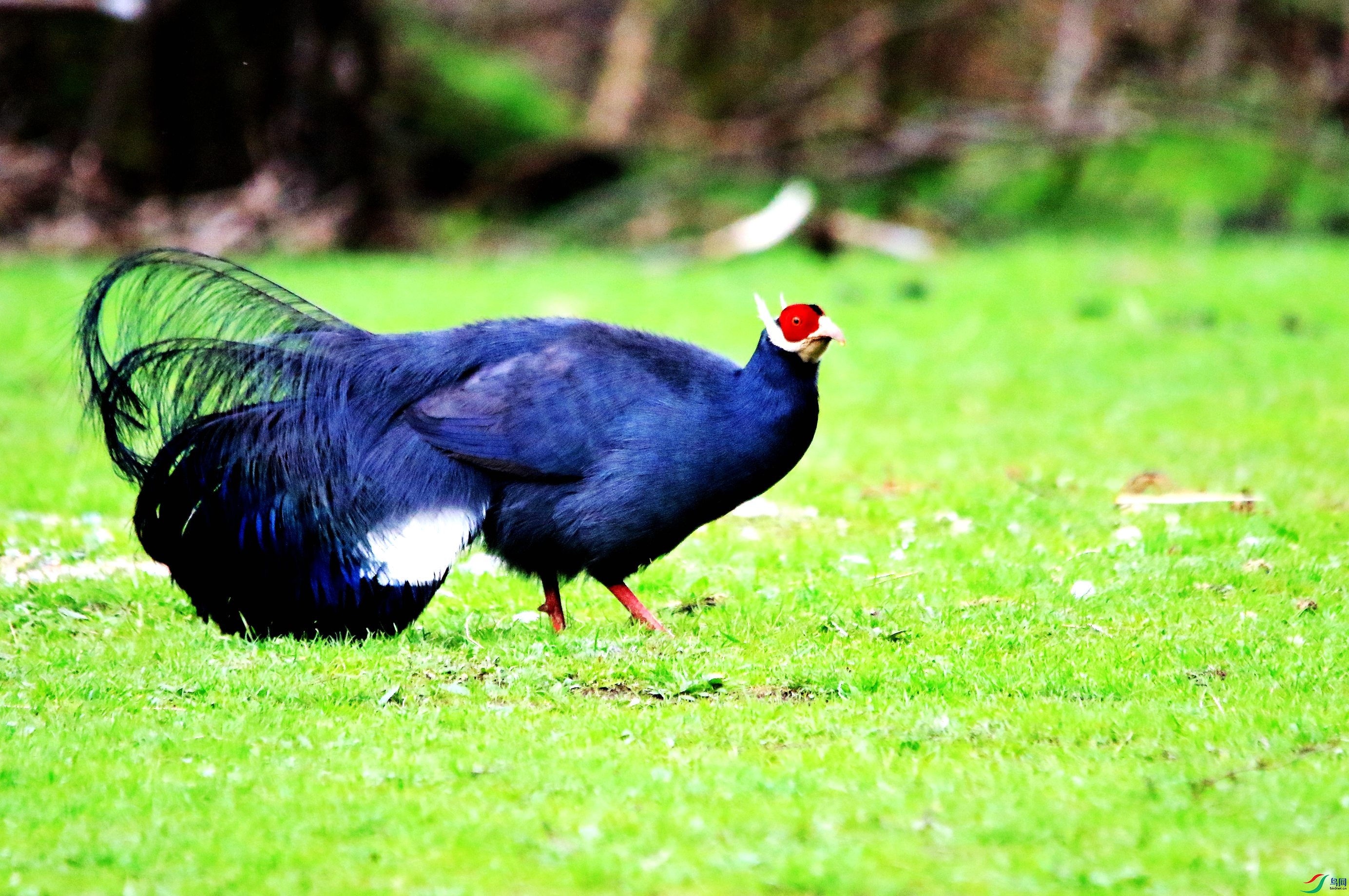 ������ (4).JPG