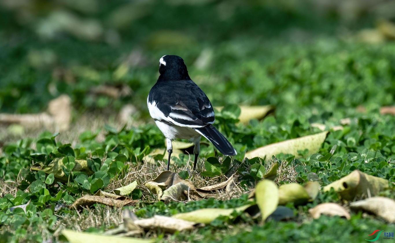 DSC_1773.jpg