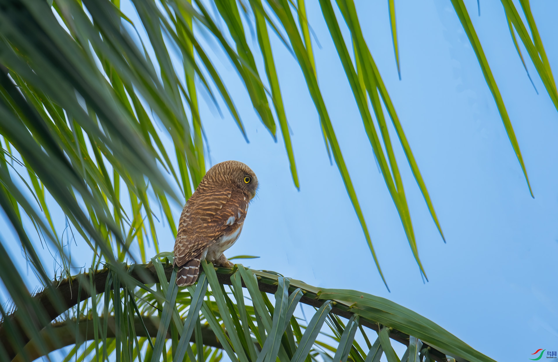 DSC_8395 -1.jpg