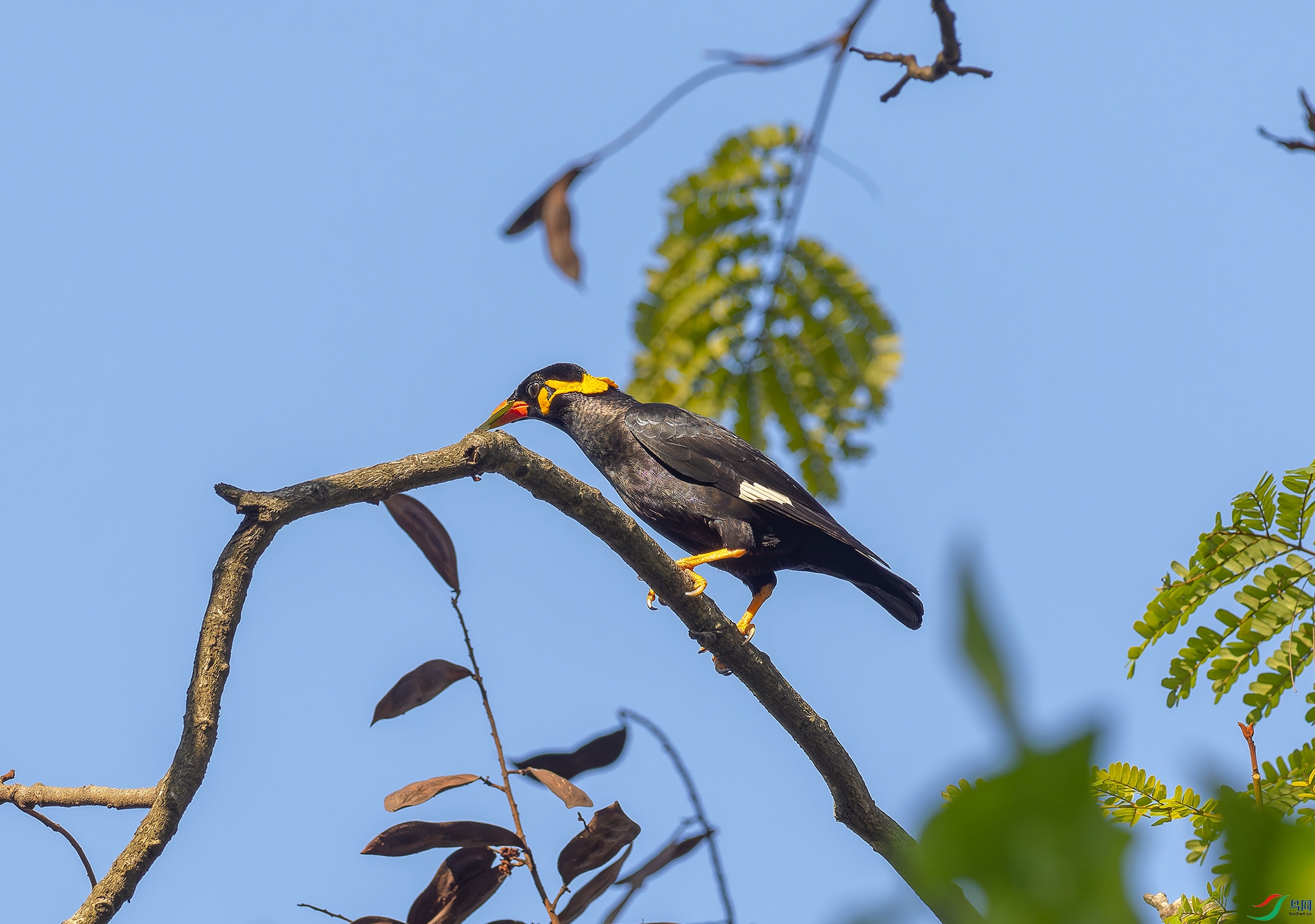 P3013190_DxO-1.jpg