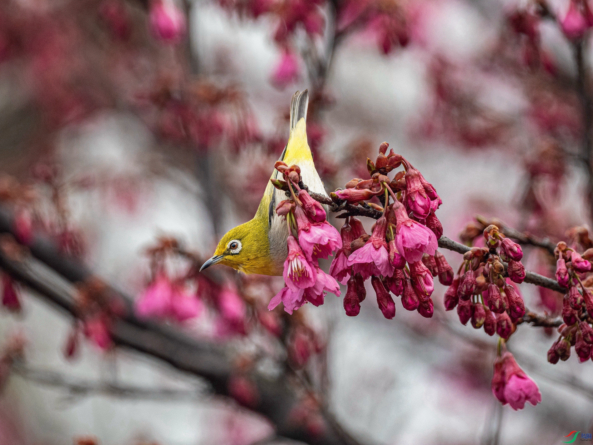 _3012603 ����.jpg