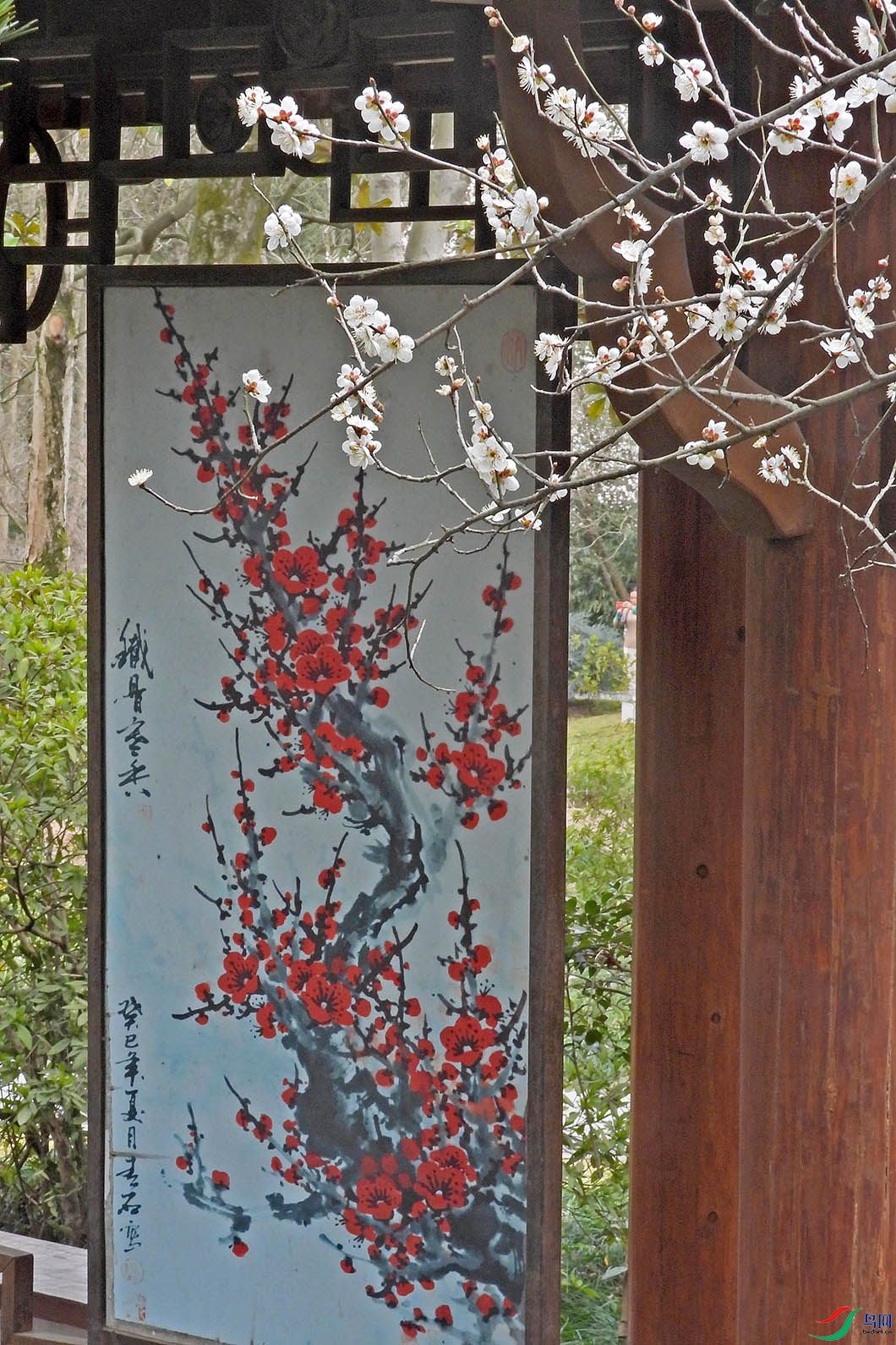 DSCN4537.JPG