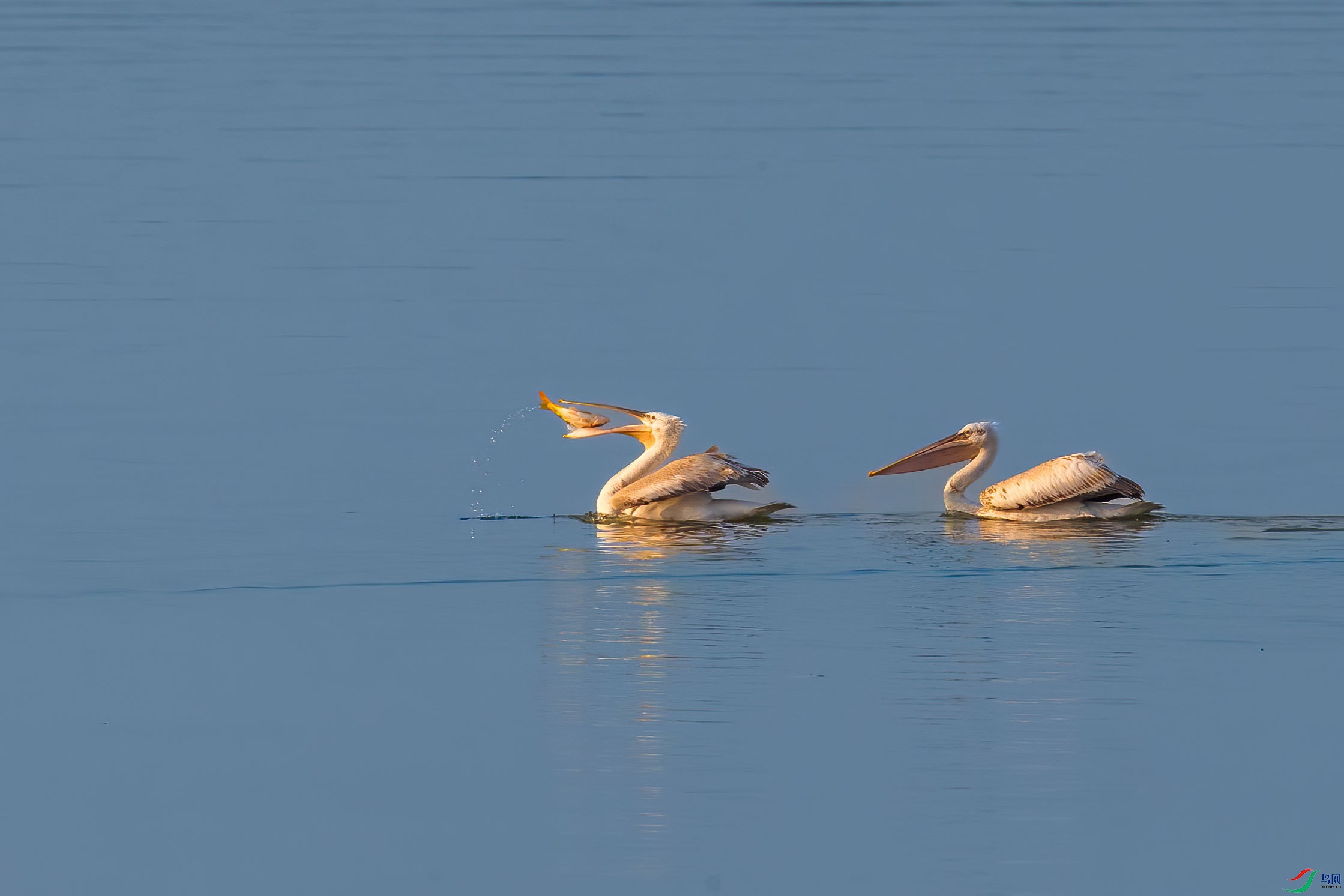 AF9Y7109 ����.jpg