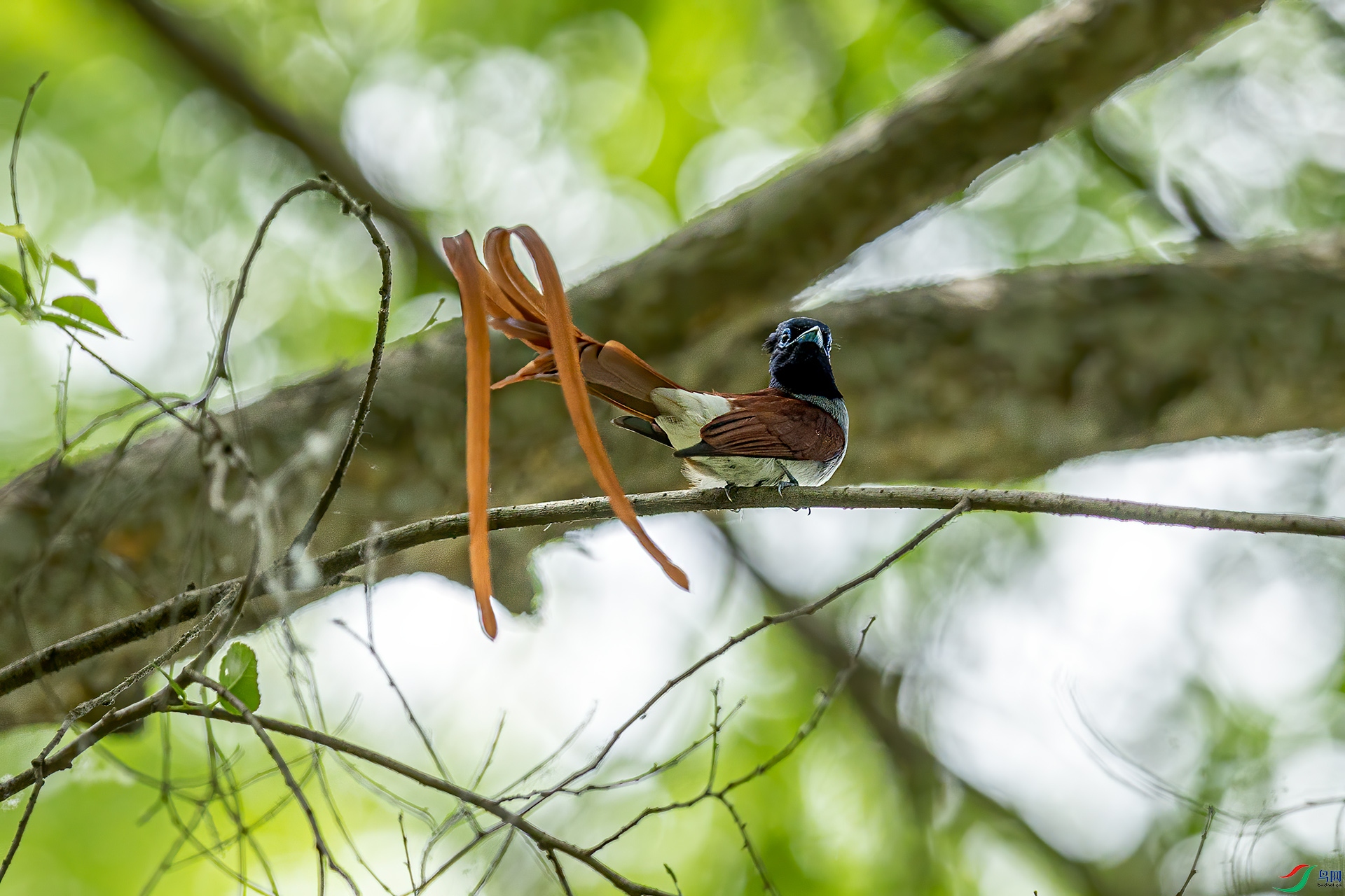 _32I0601 ����.jpg