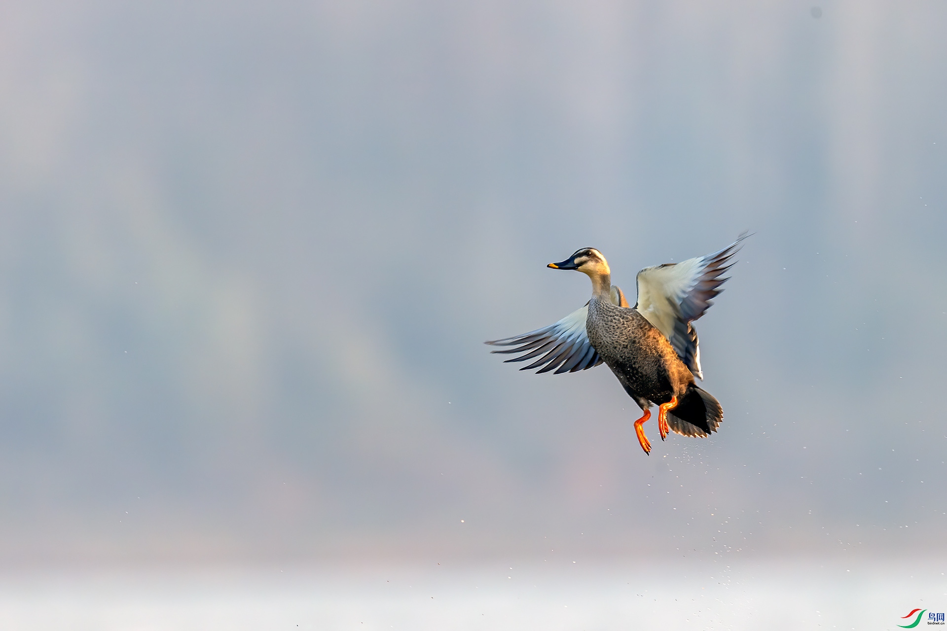 _32I5945 ����.jpg