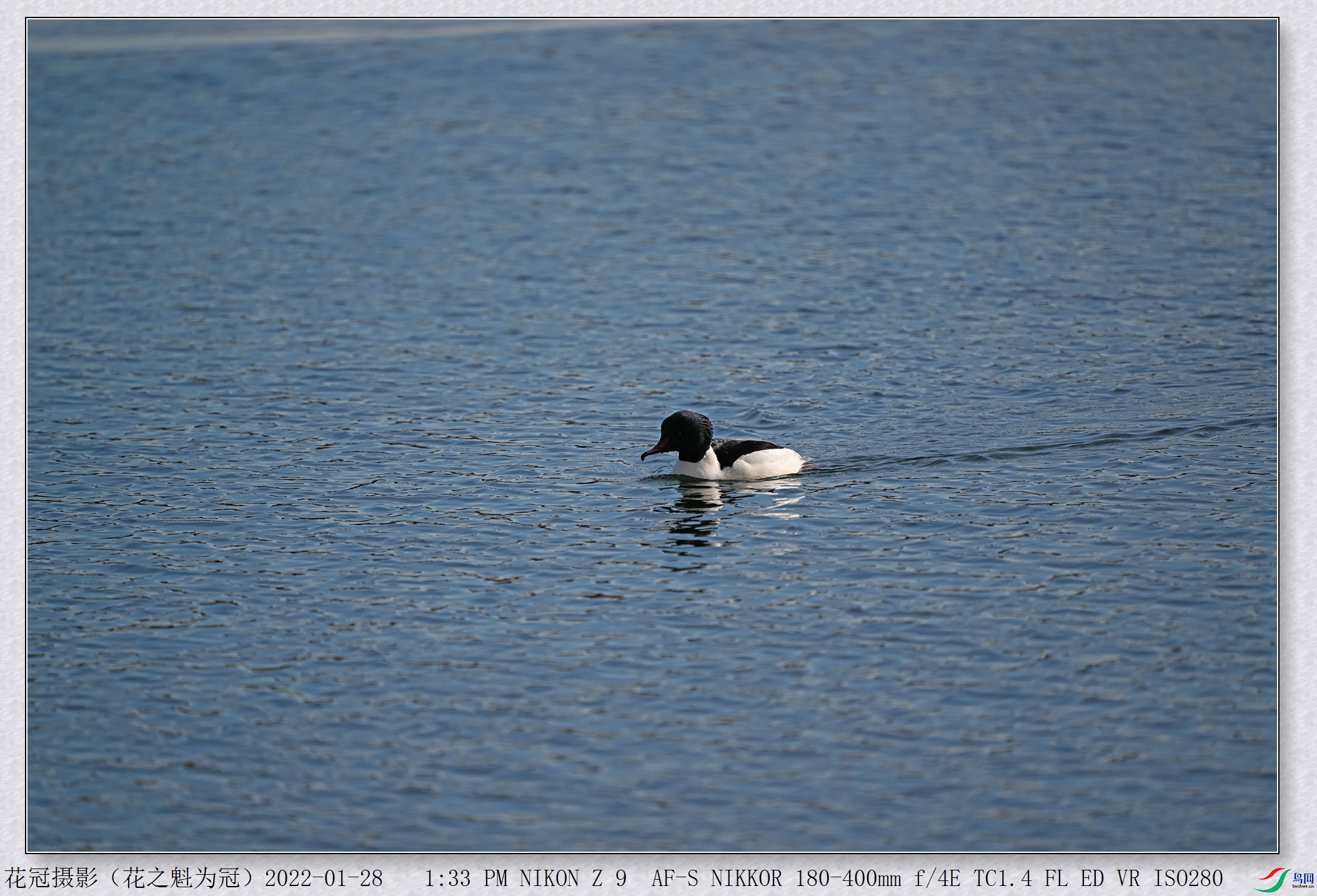 DSC_0396B-1_����.jpg
