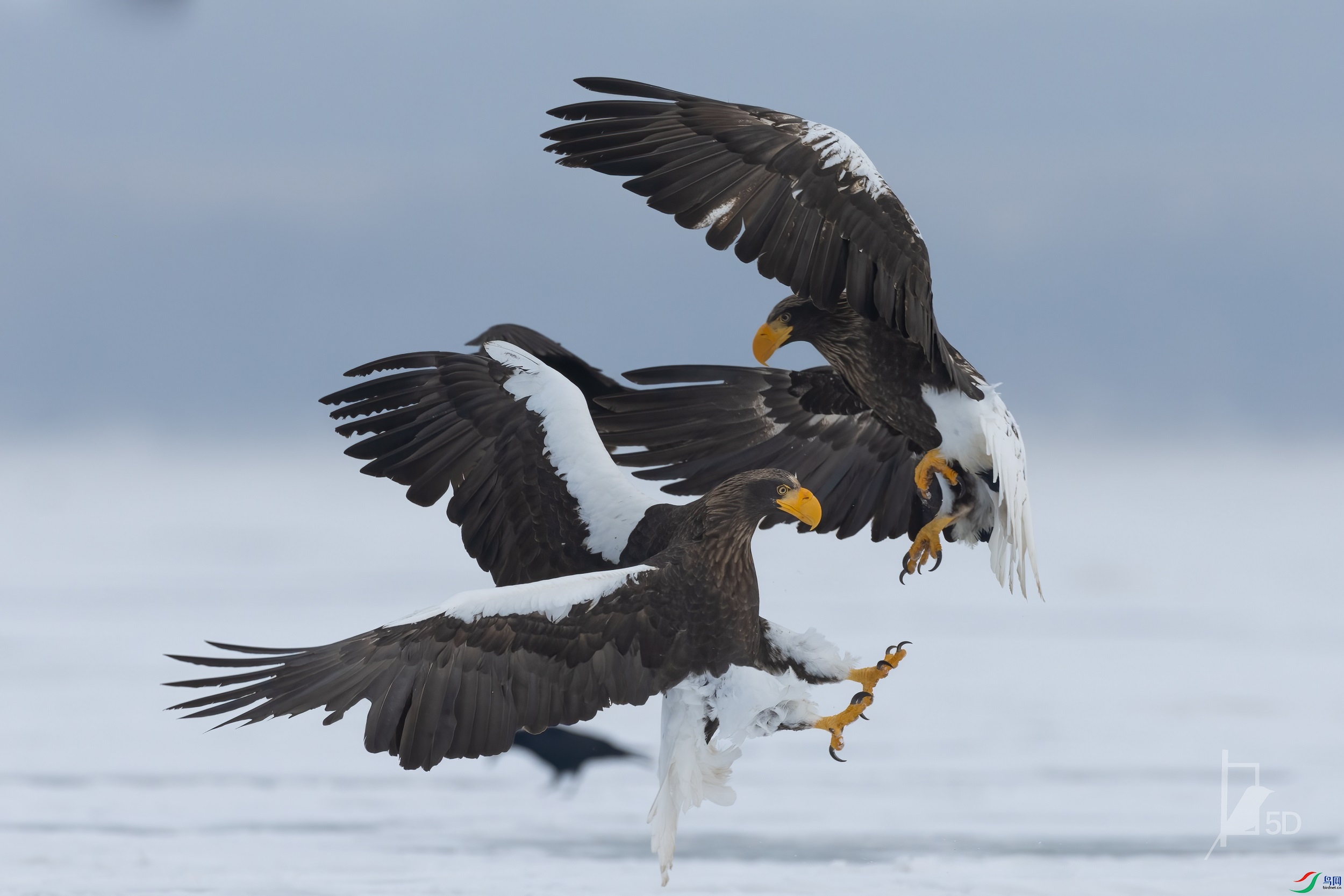 60501875b313aafa8ebb513d5139a74.jpg