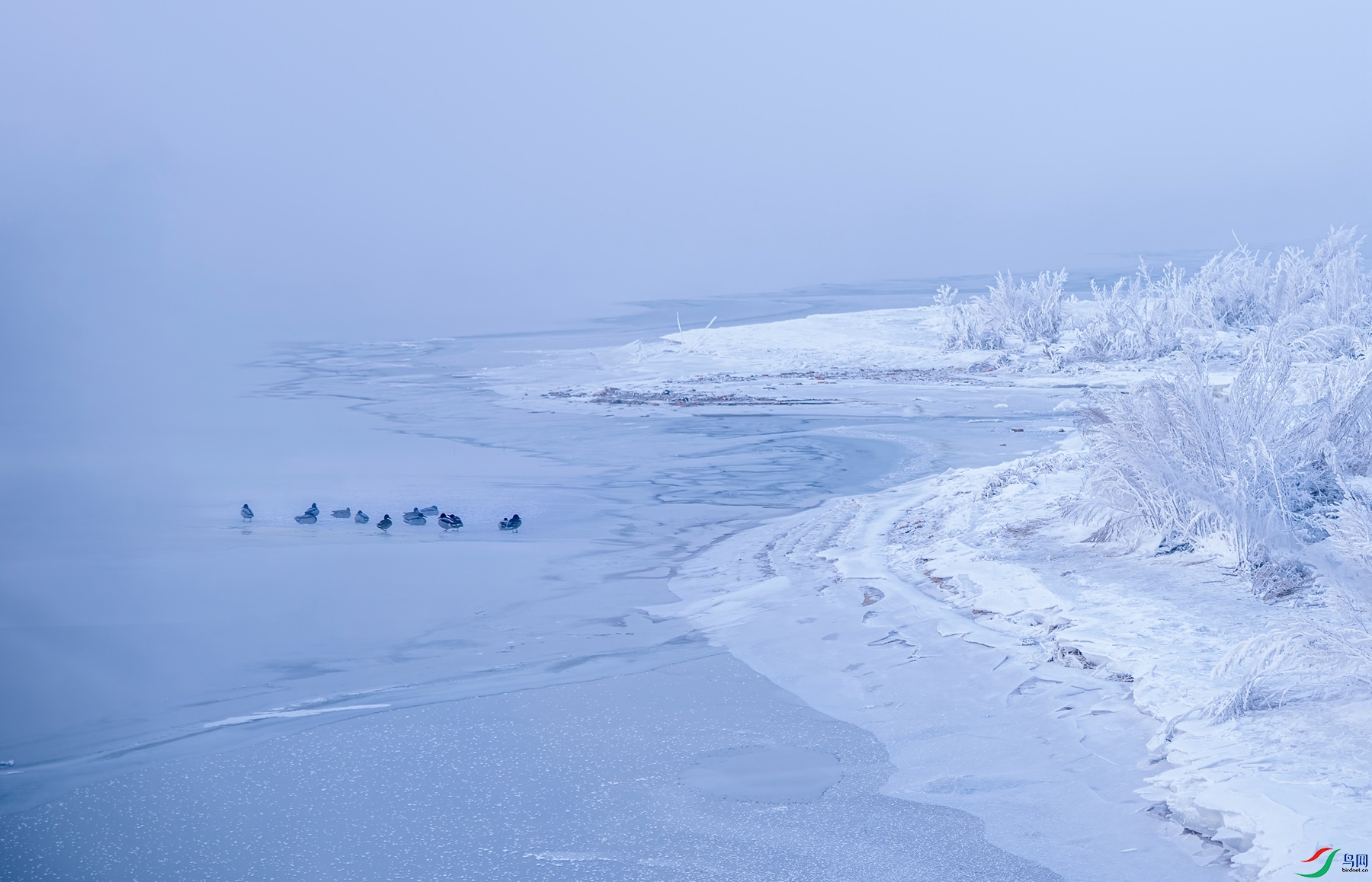 DSC_5902 ���� 2_����.jpg