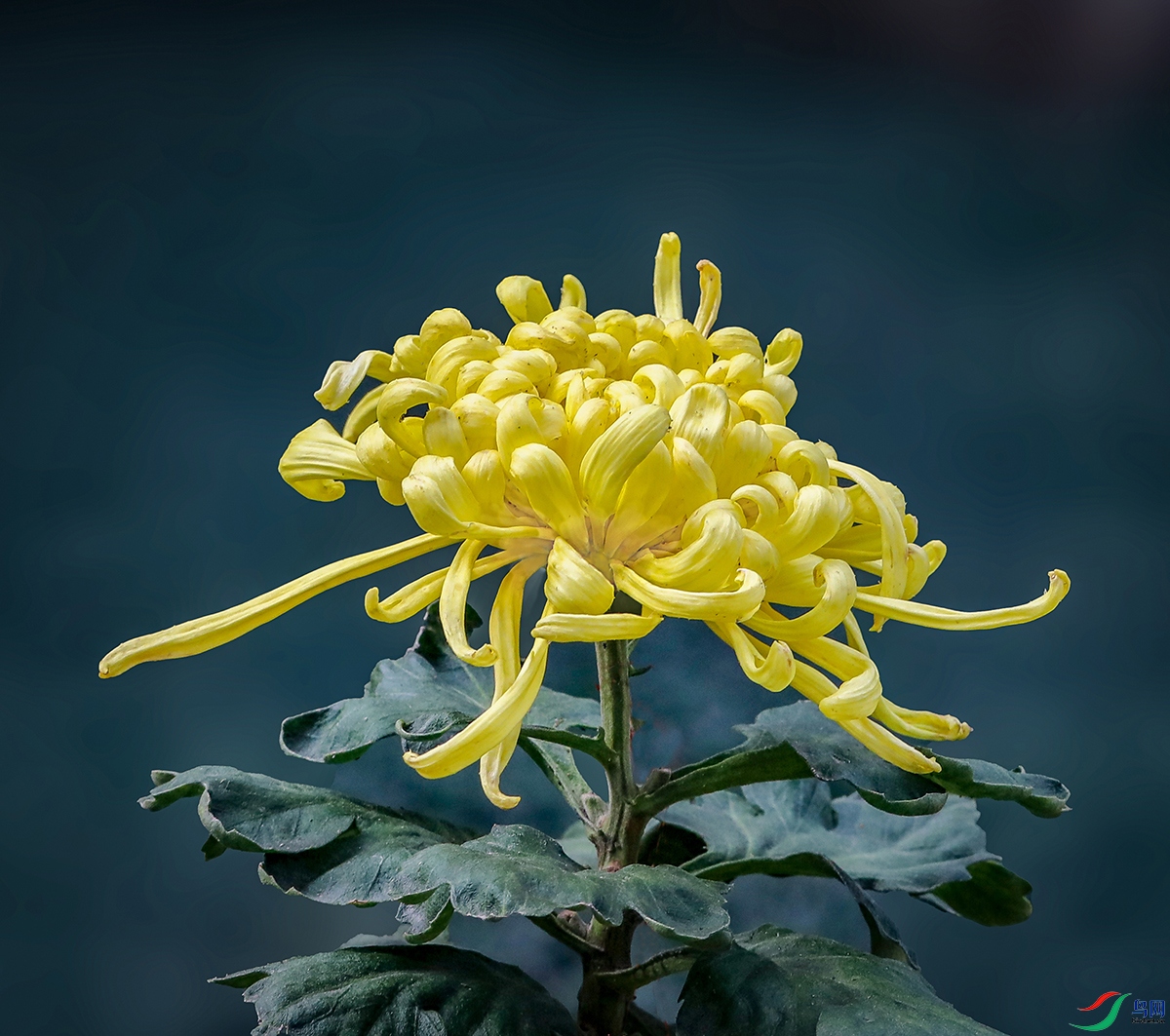 00000583A0180 ������־1200.jpg