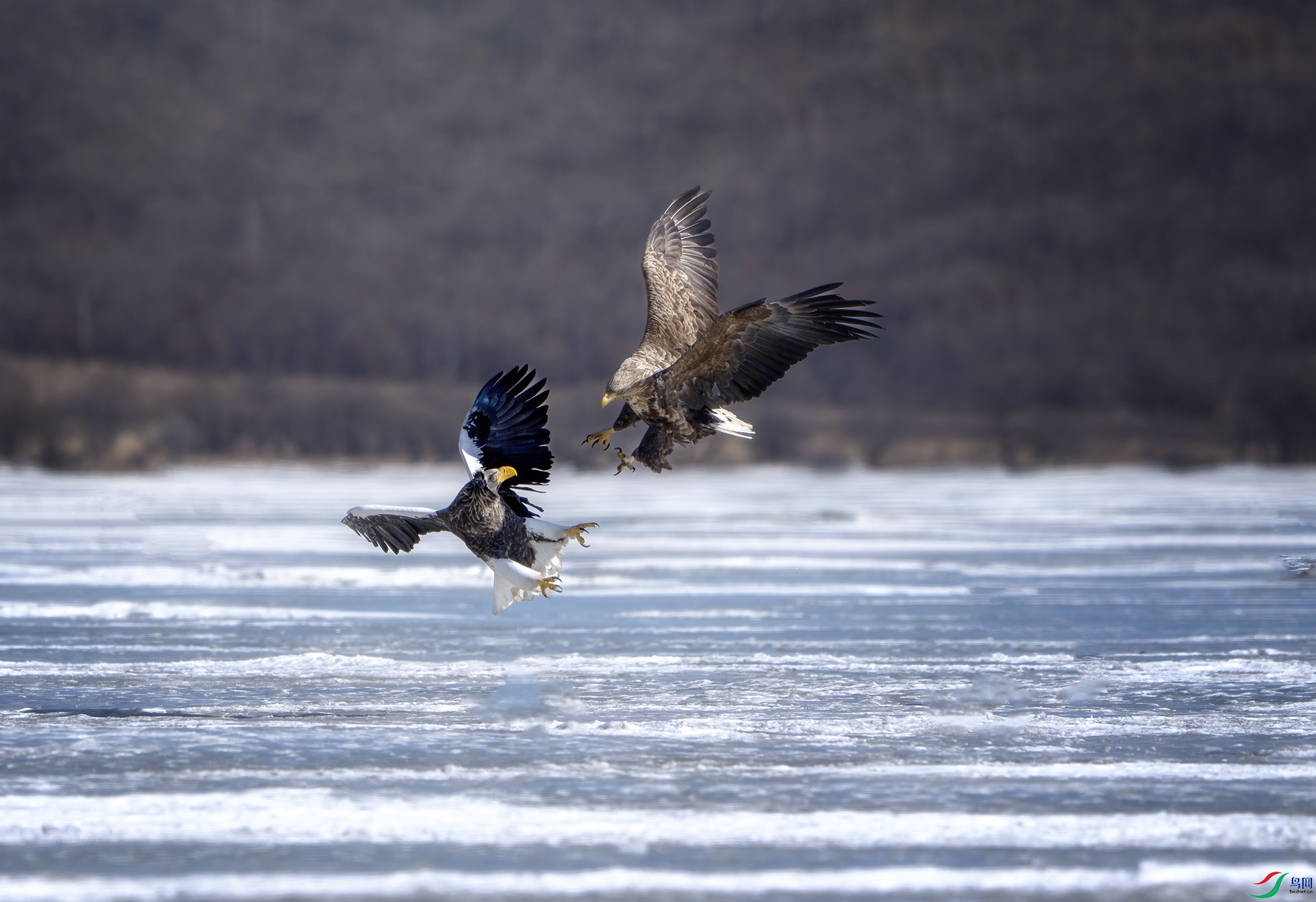 _DSC0654 ����.jpg