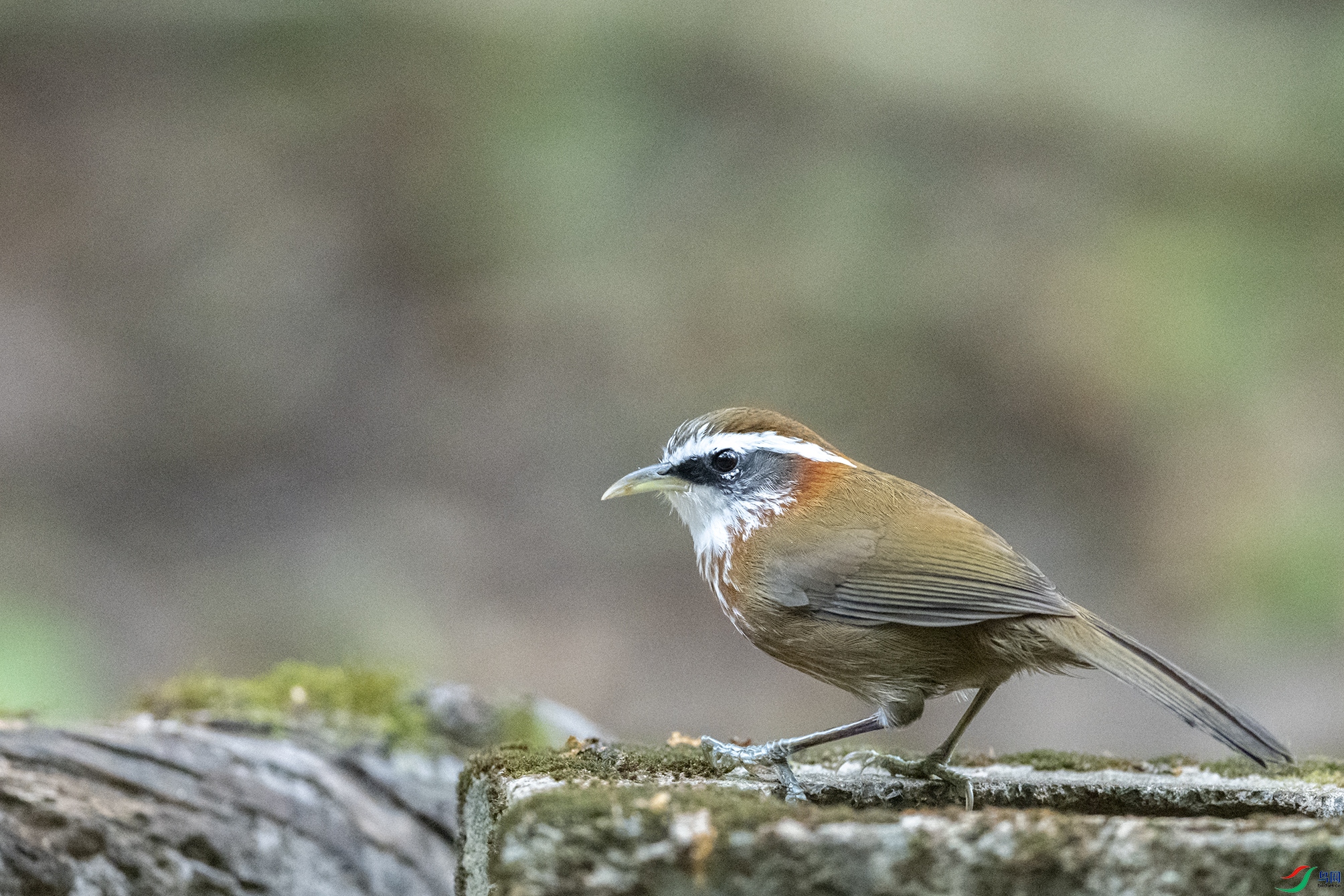 5224 ����.jpg