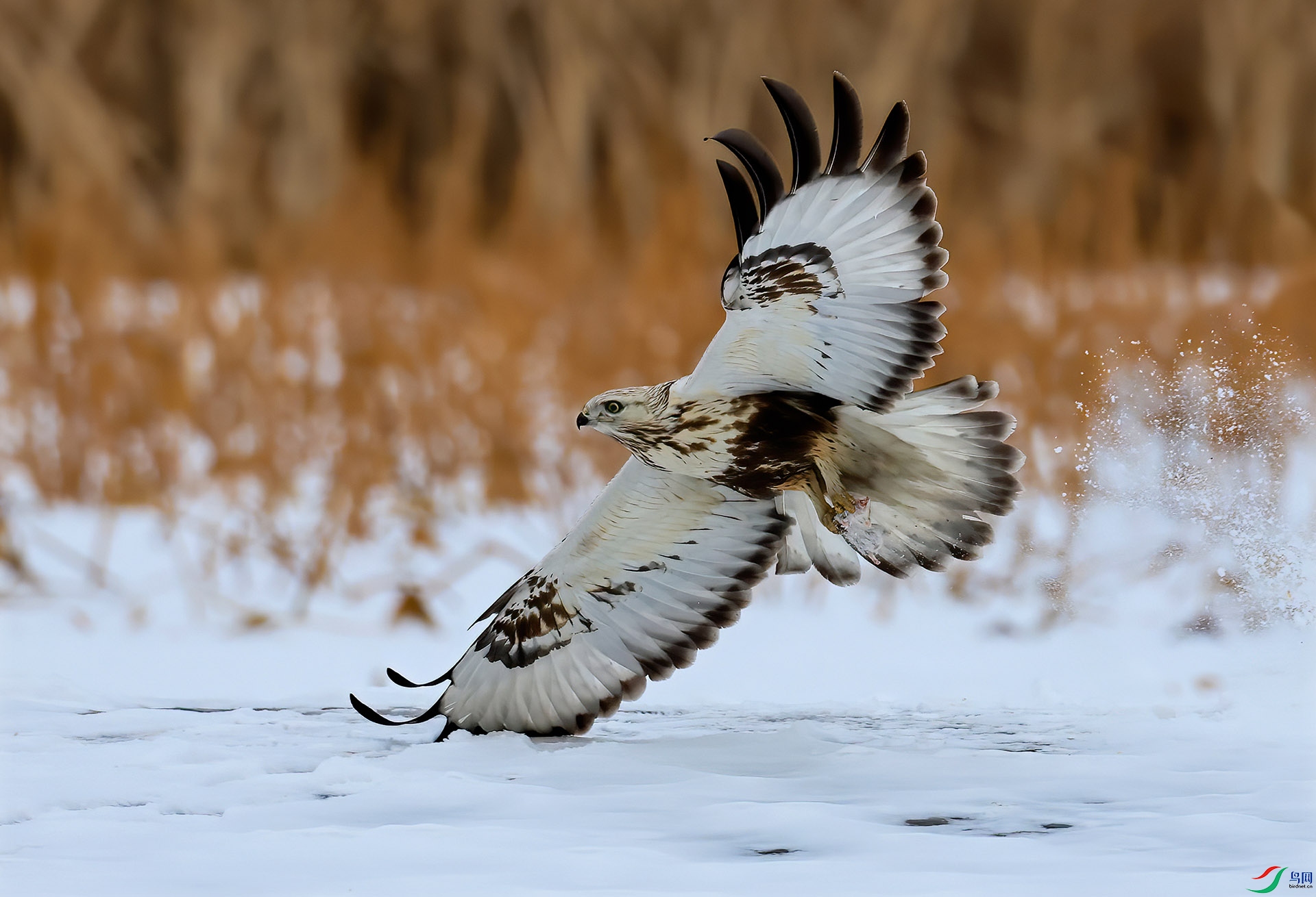 ë���A3092--333.jpg