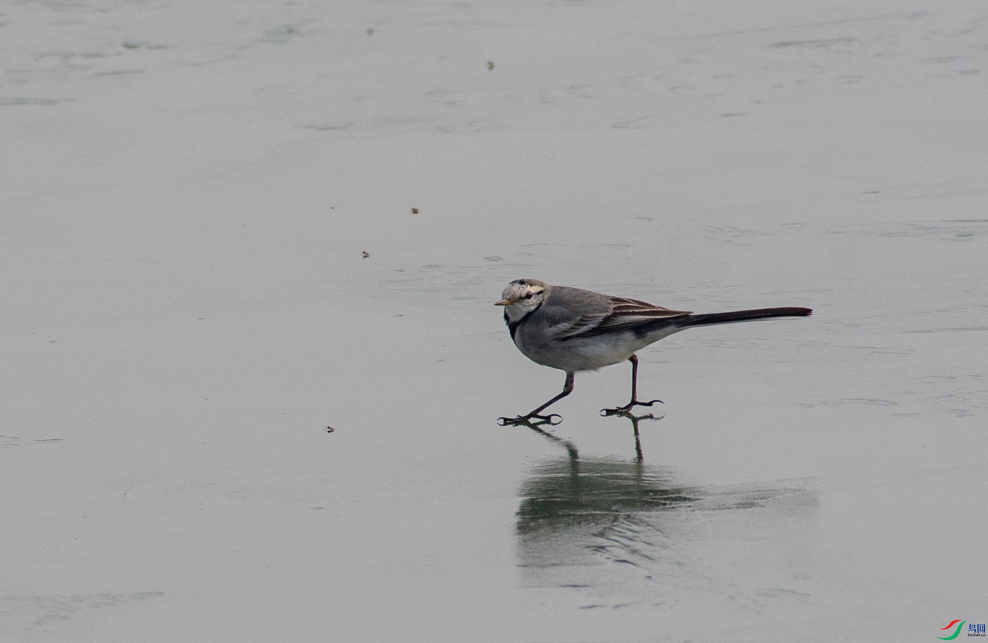 DSC_9815.jpg