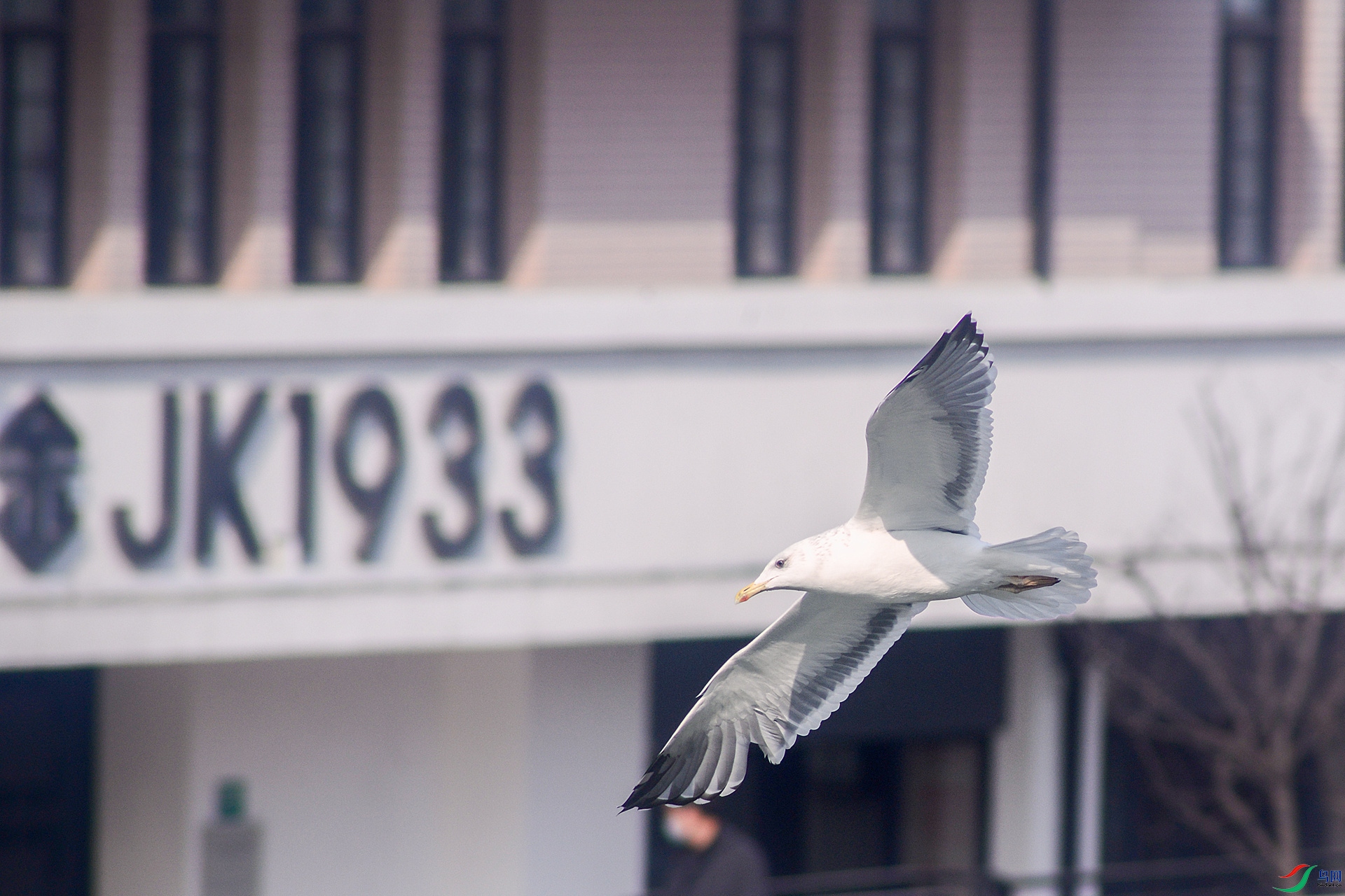 DSC_3885_����.jpg