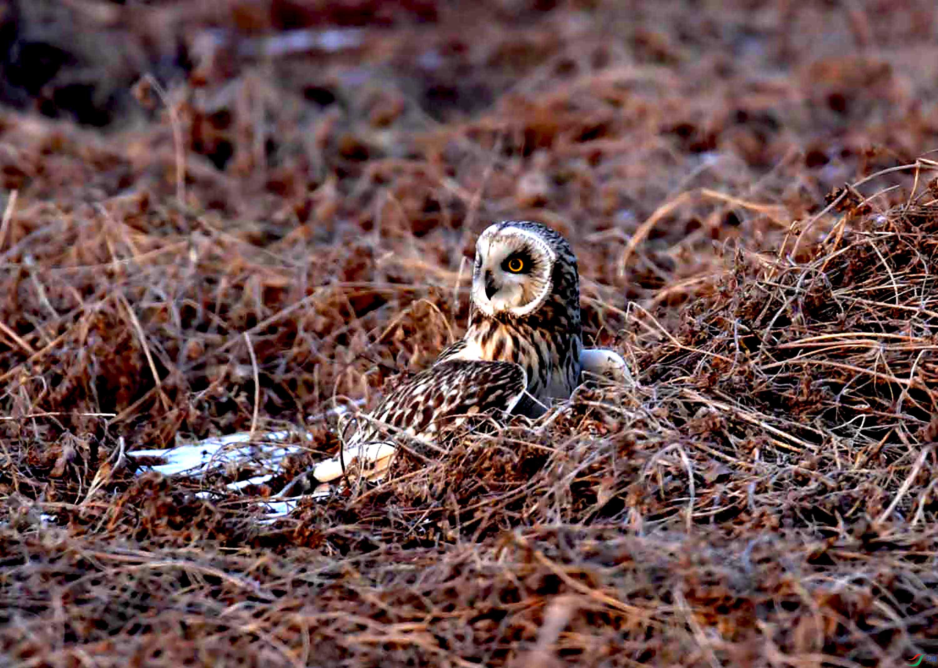DSC_3456.JPG