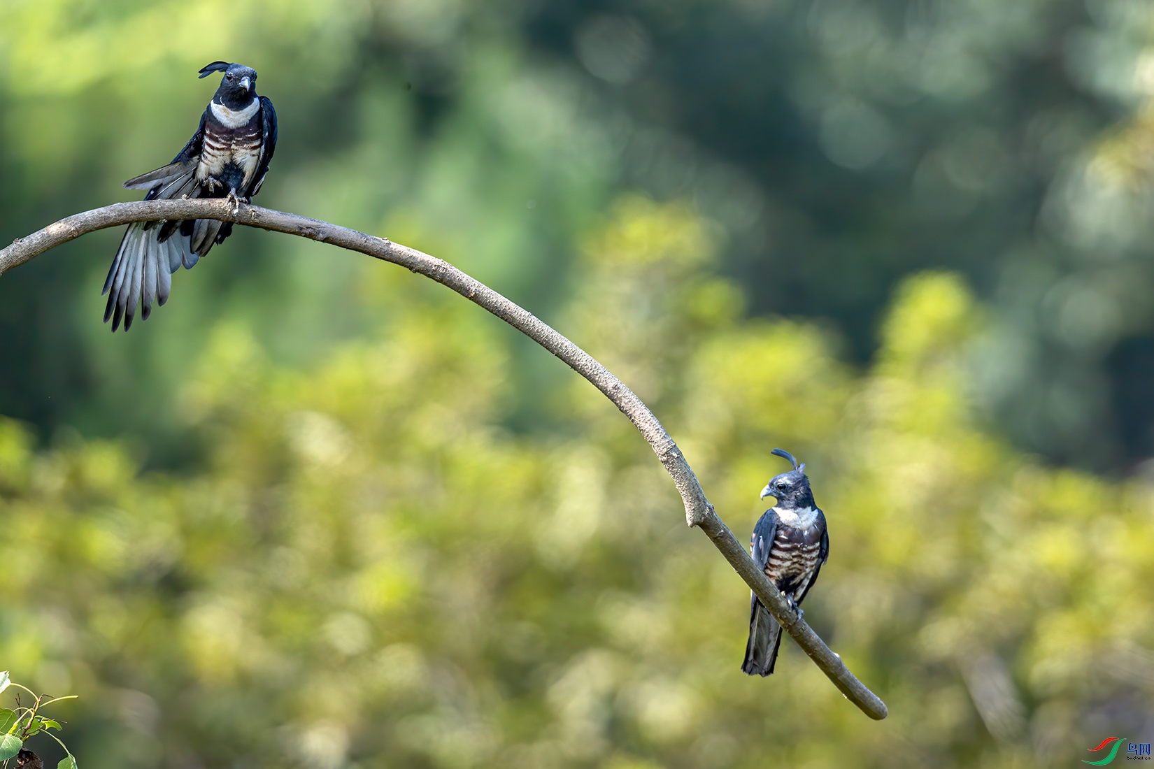 _32I7503 ����.jpg